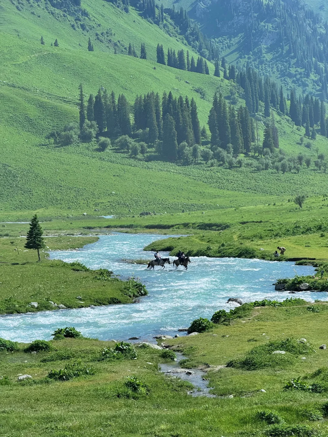 这么近，那么美！