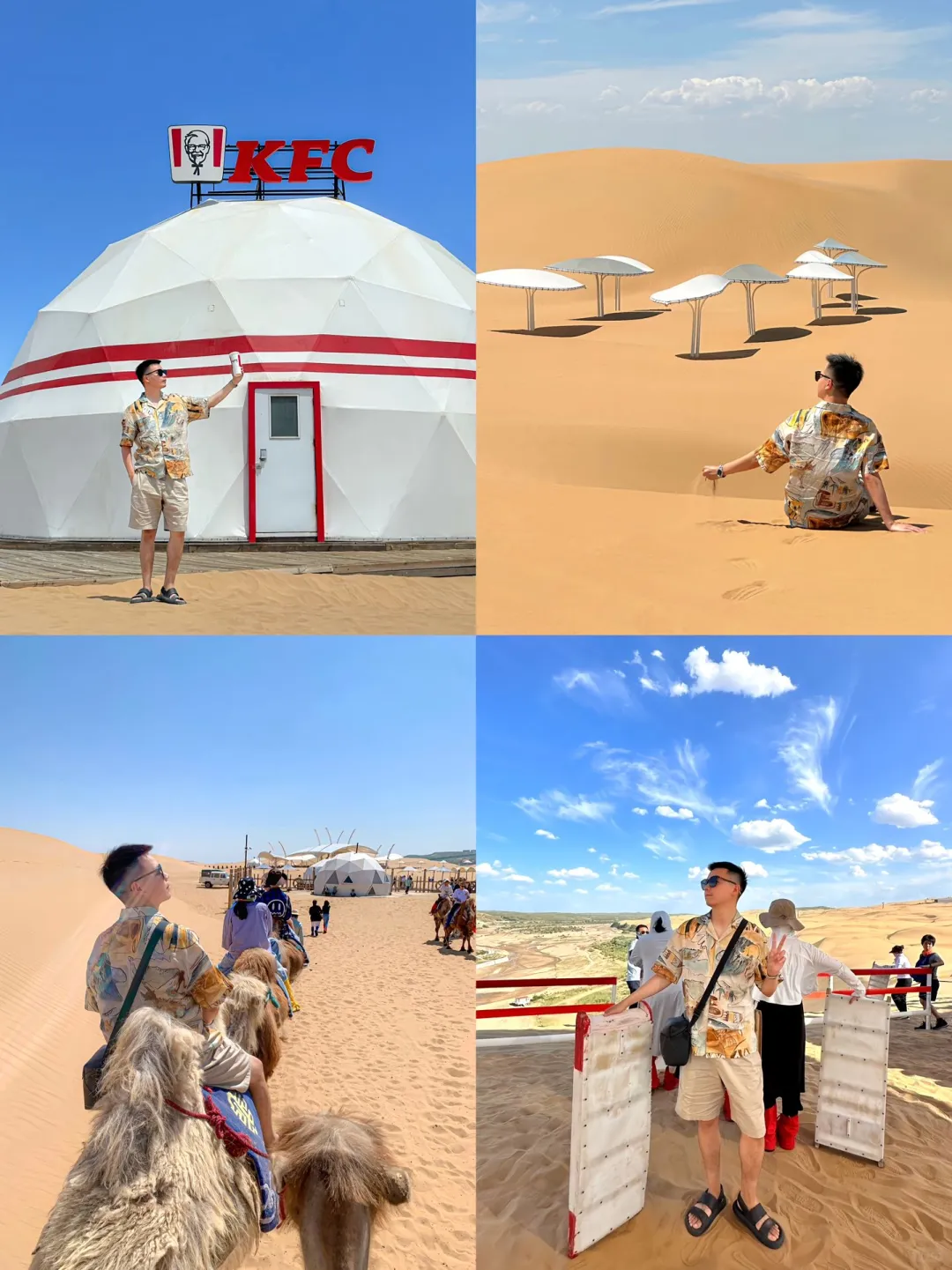 酷夏高温来袭，草原避暑真香警告📍