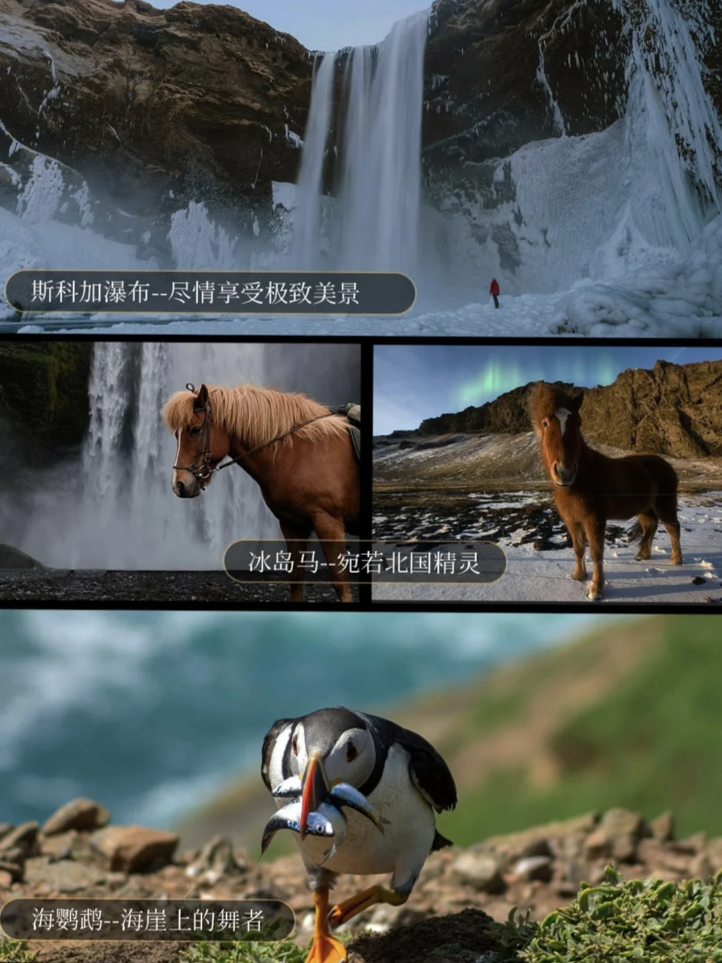 🇮🇸冰岛夏季限定，2-8经典小团6天5晚