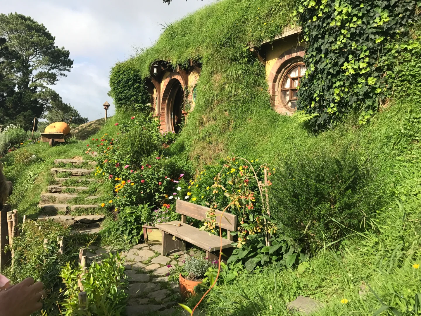 新西兰和瑞士区别