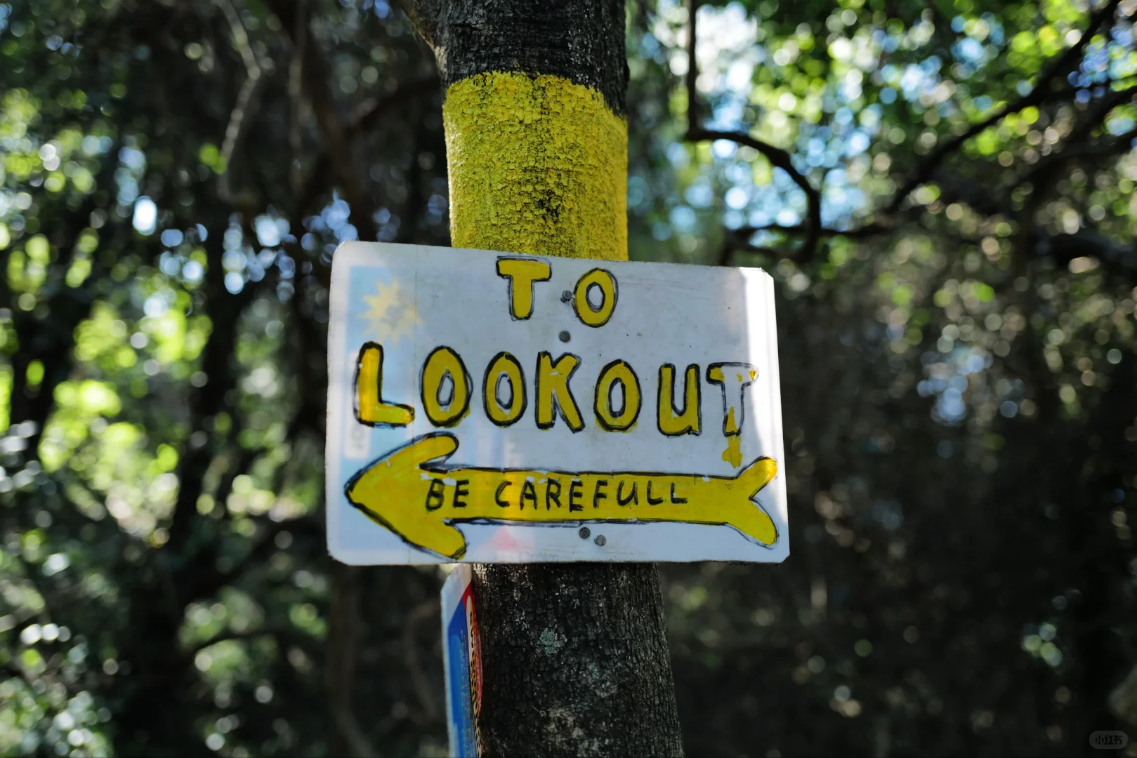 📍拍出了我心中最美的悉尼 2024