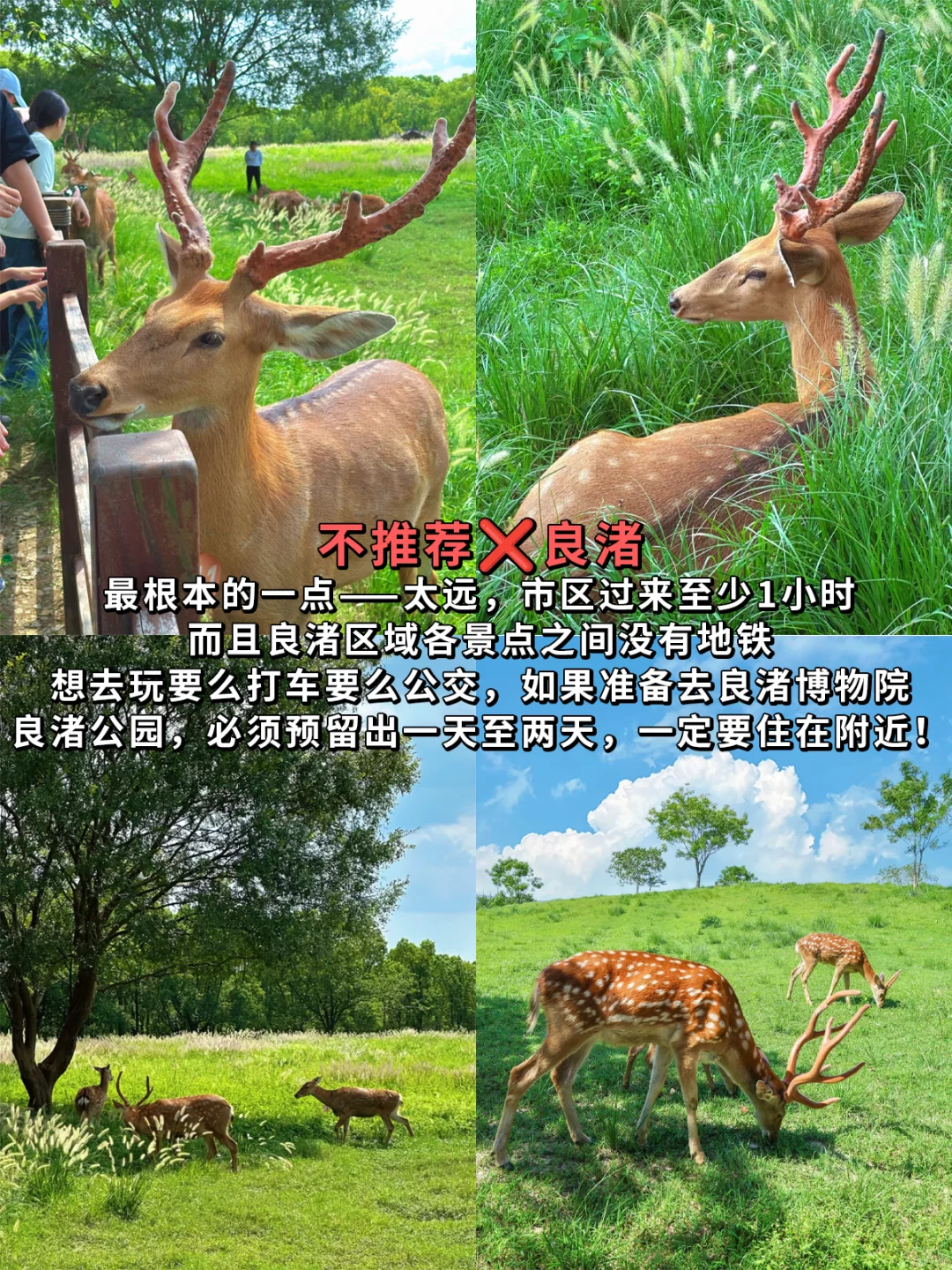 来杭州旅游，本地人不推荐你来这些地方