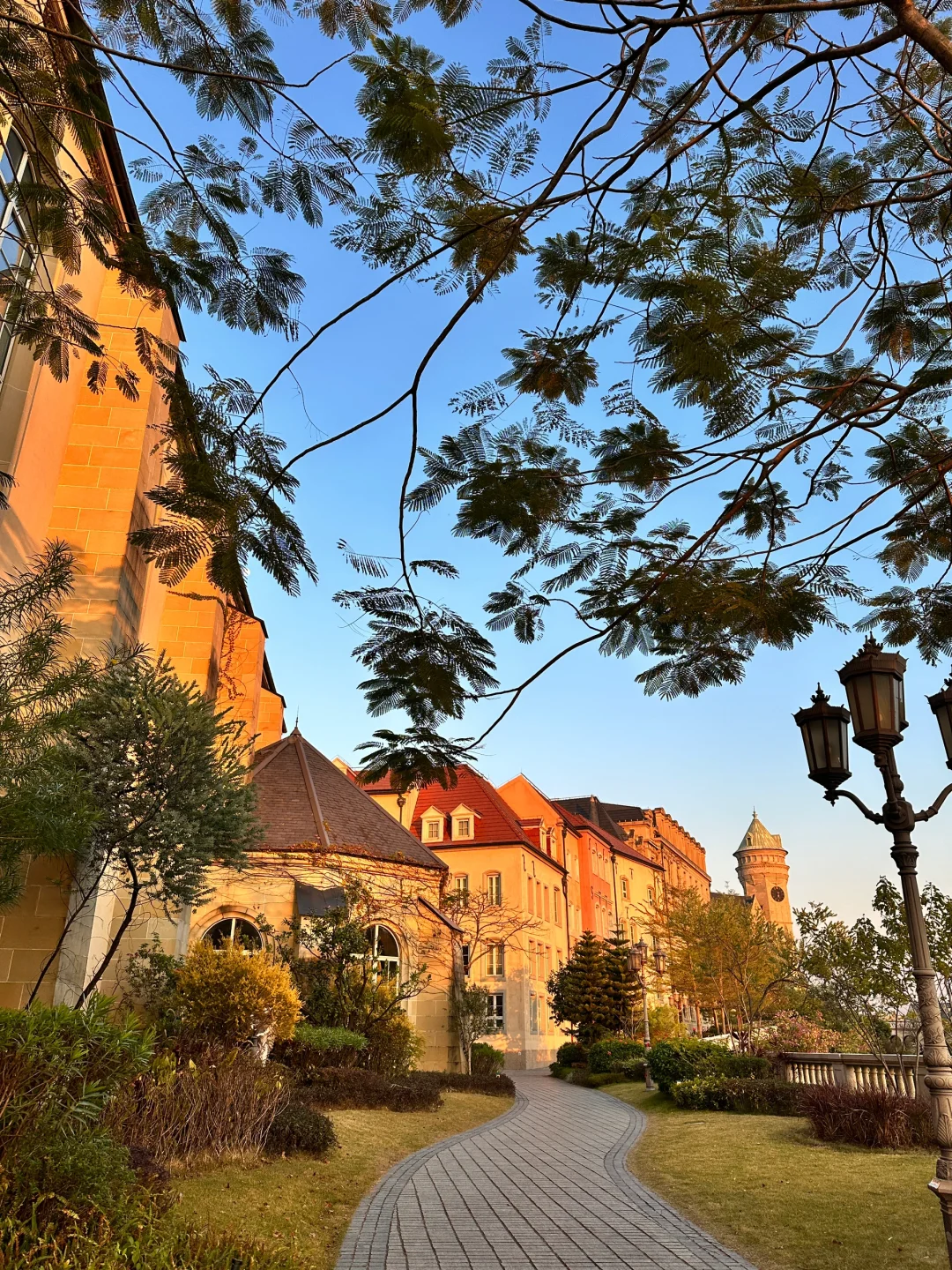 太出片了!!都以为我出国了☺️