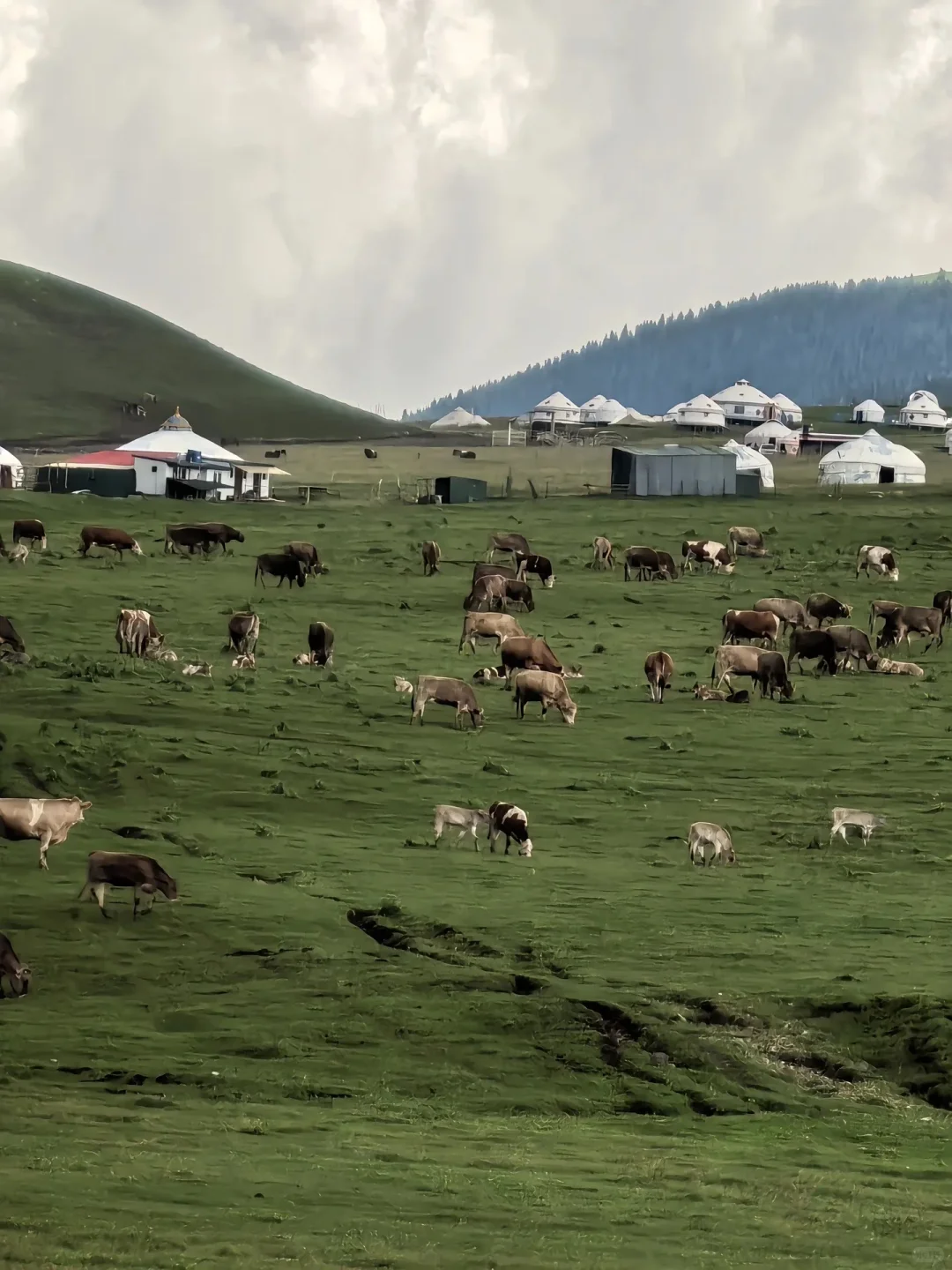 旅游的意义本不在旅游