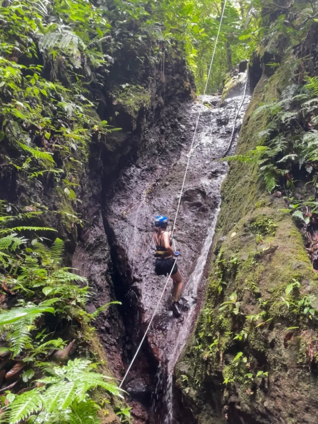 哥斯达黎加5日游小攻略🇨🇷