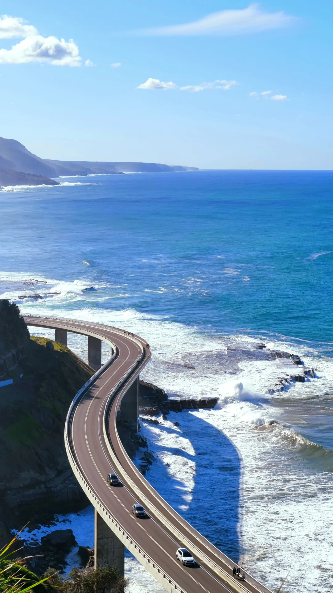 📍拍出了我心中最美的悉尼 2024