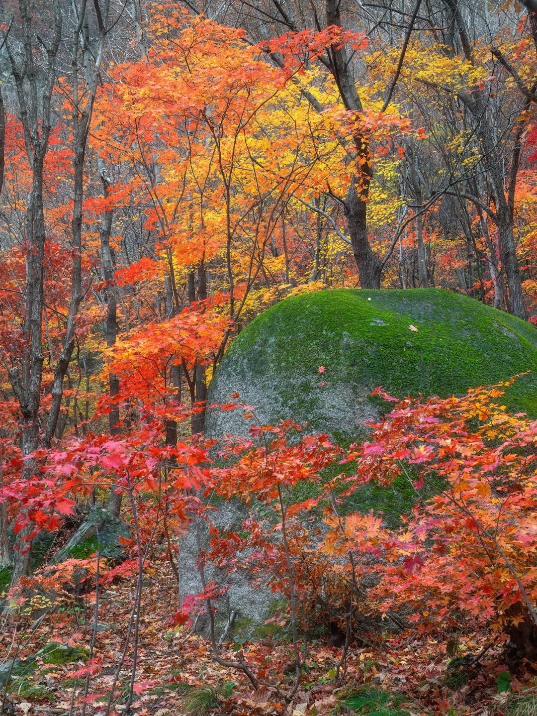 迄今为止，我最喜欢的9️⃣座治愈小城‼️