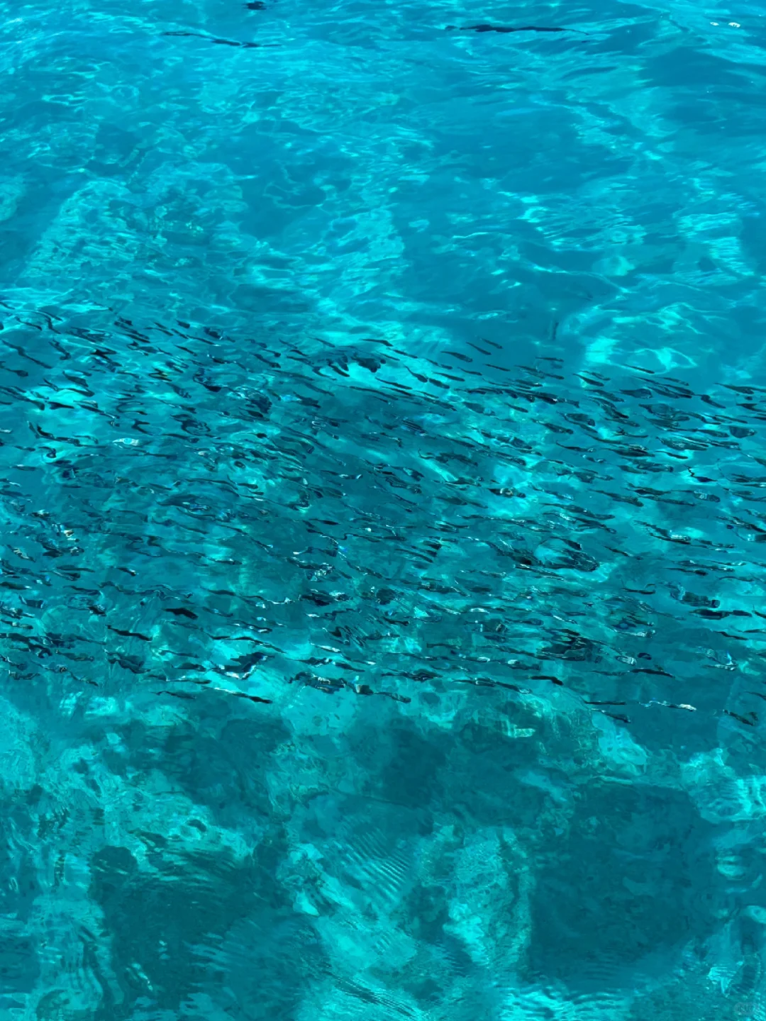 斐济没人去吗？暑期7-8月便宜到怀疑人生！