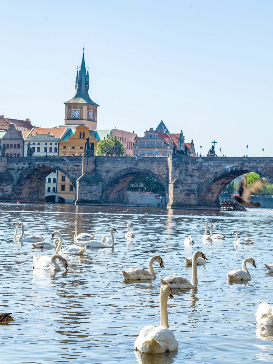 朋友圈被问疯了……没想到我真出国了