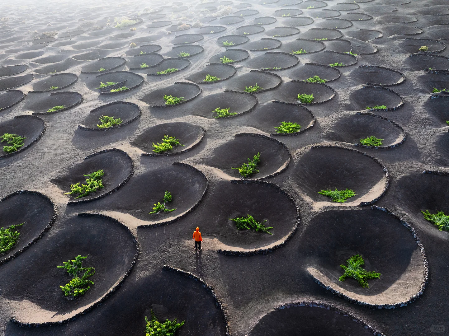我终于登陆了外星球！这里有上百座火山口
