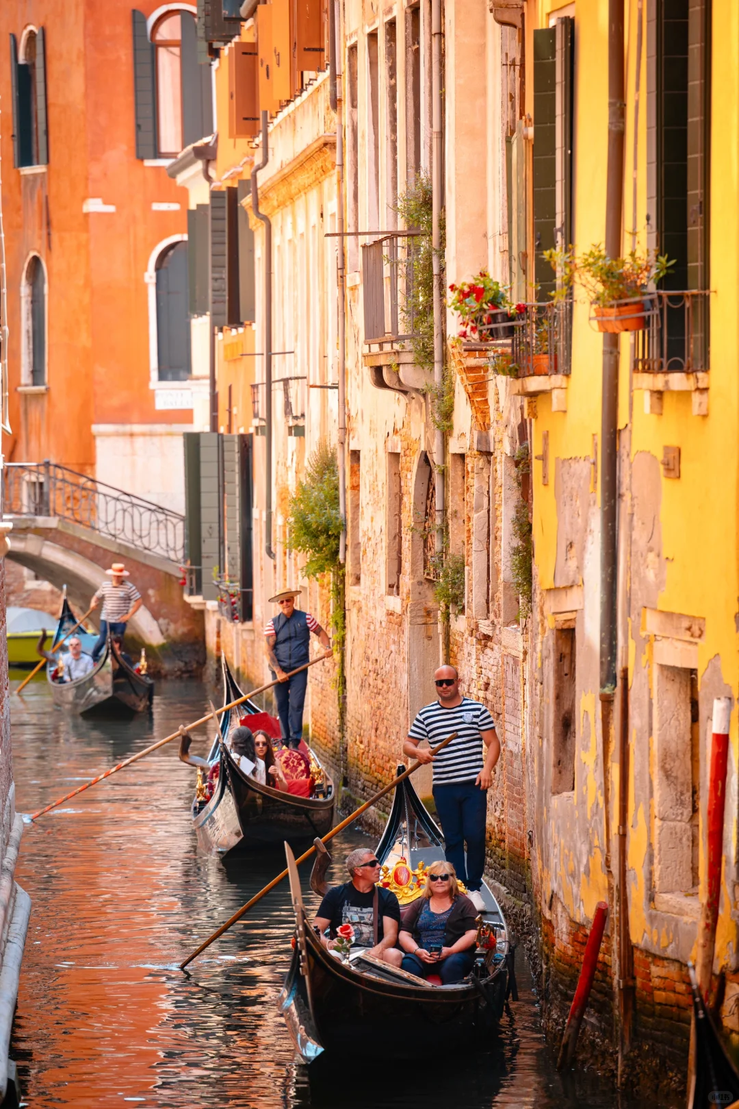 Ciao，Venezia🎭终于见到了书本里的水上之城