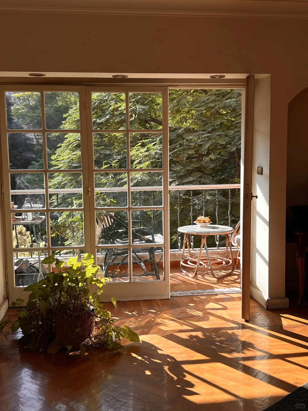 埃及的可玩性真的top级别的存在