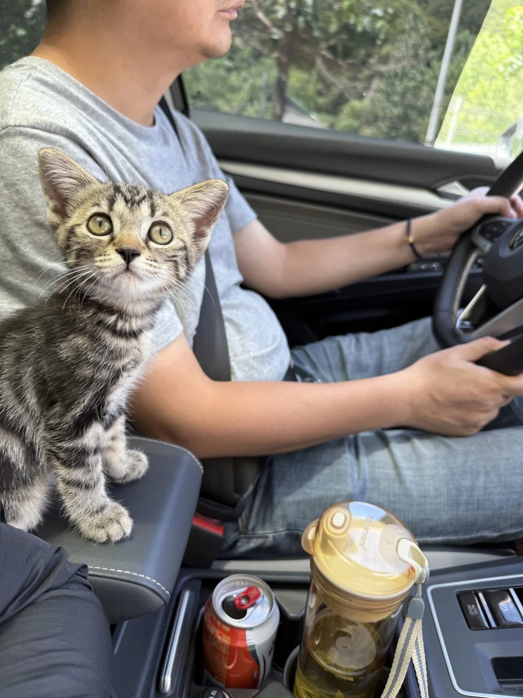 新鲜出炉的暑假旅行——陵川，报道！