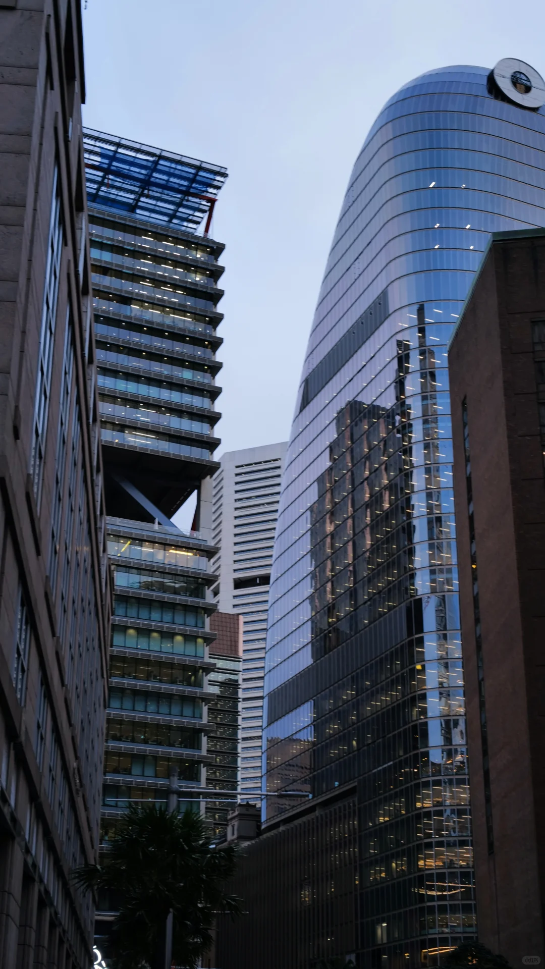 📍拍出了我心中最美的悉尼 2024