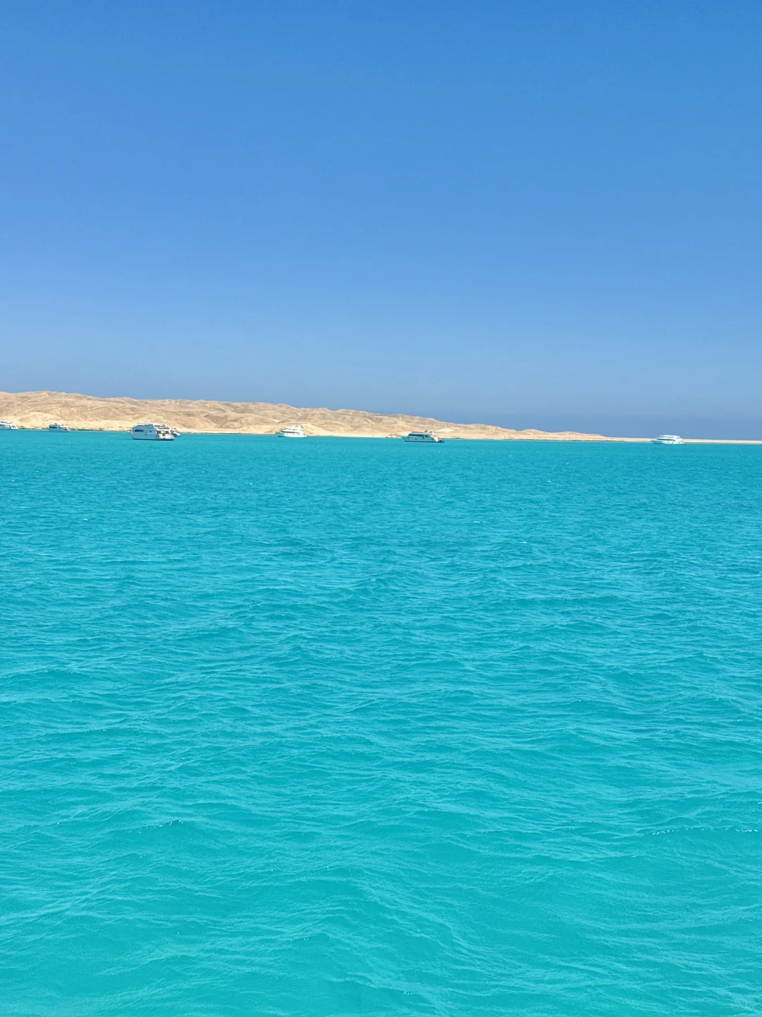 一半红海一半撒哈拉🏜️live感受顶级海张力