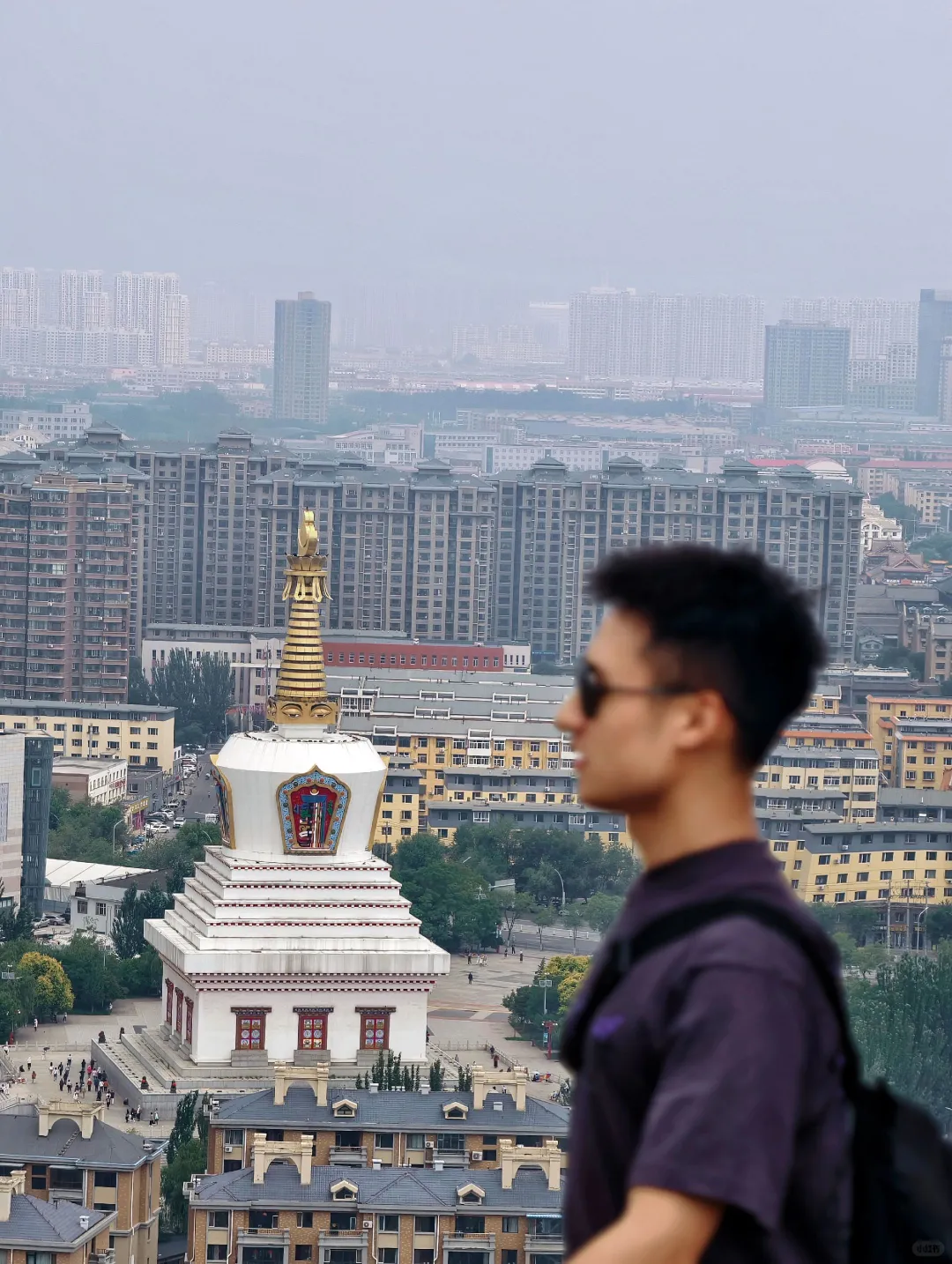 酷夏高温来袭，草原避暑真香警告📍