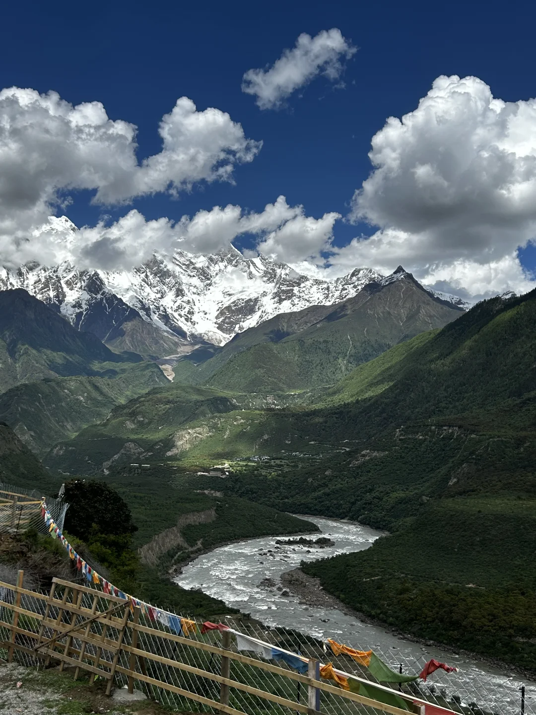 感觉洗脑真的好可怕啊 别再被网络荼毒了