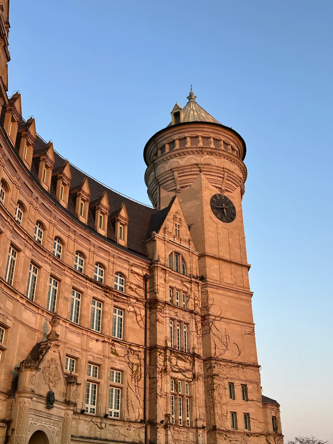 太出片了!!都以为我出国了☺️