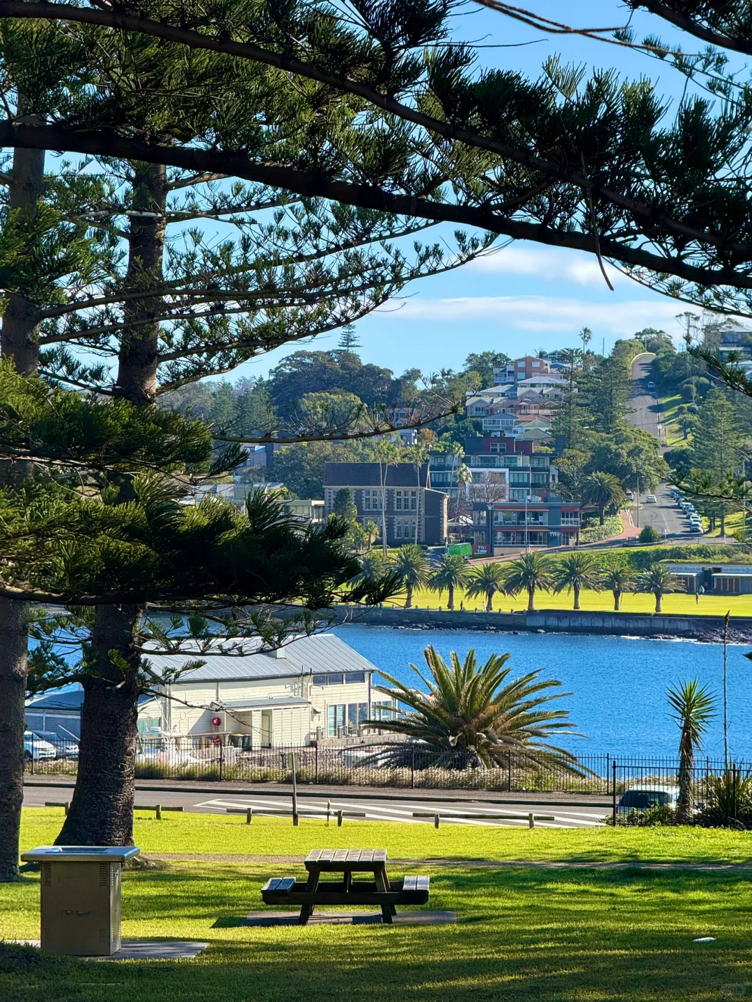 悉尼周边美的我发癫🥹