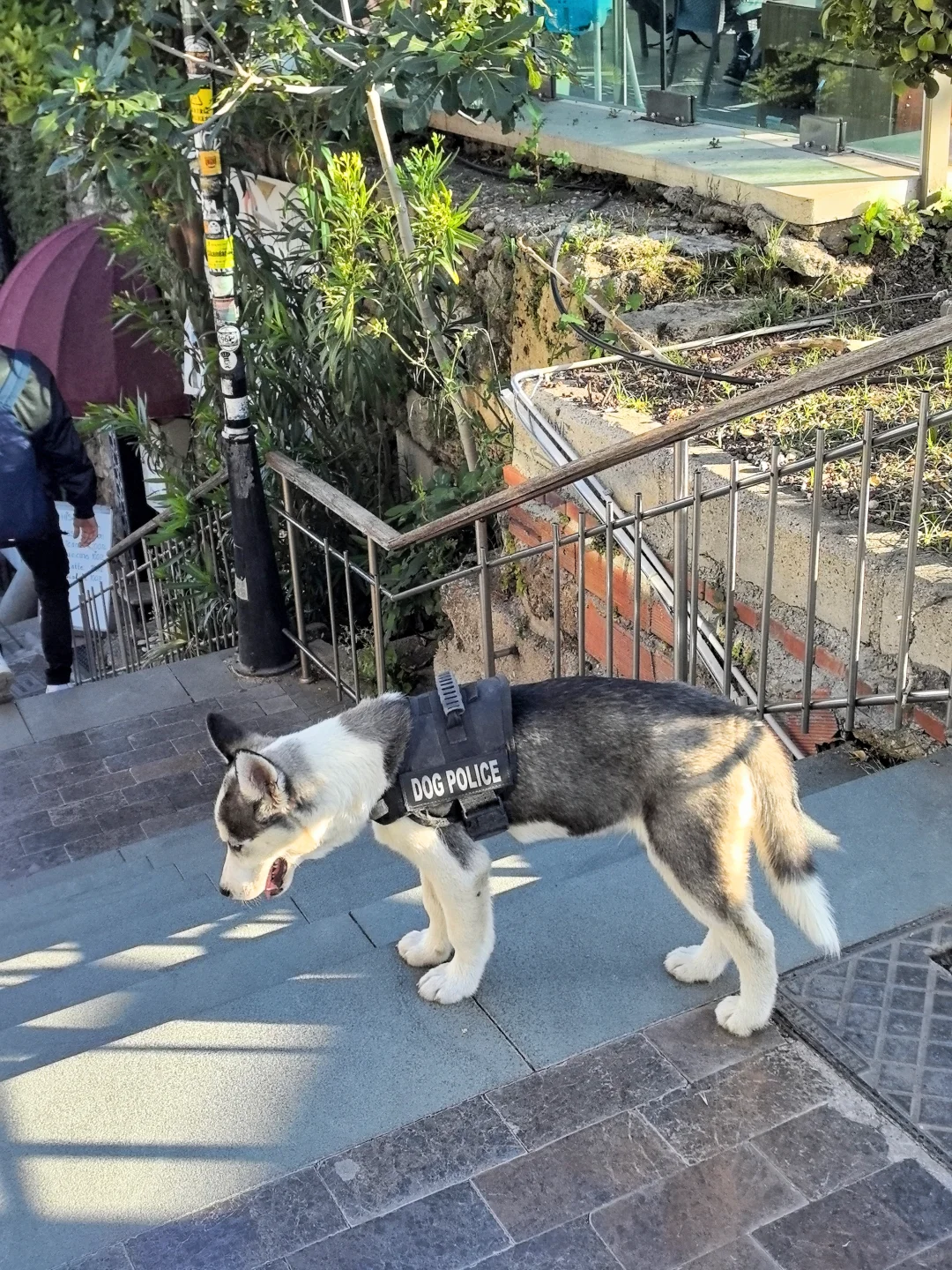 带给我太多美好回忆的安塔利亚