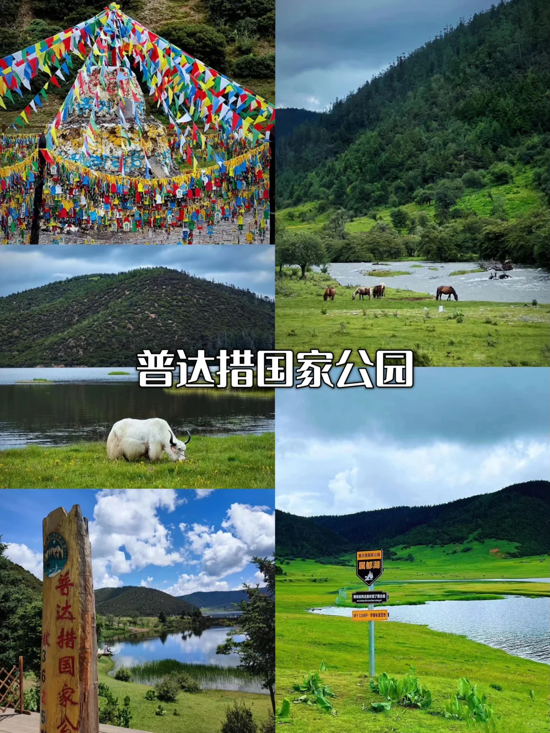🌟大理丽江香格里拉｜暑假旅行路线图