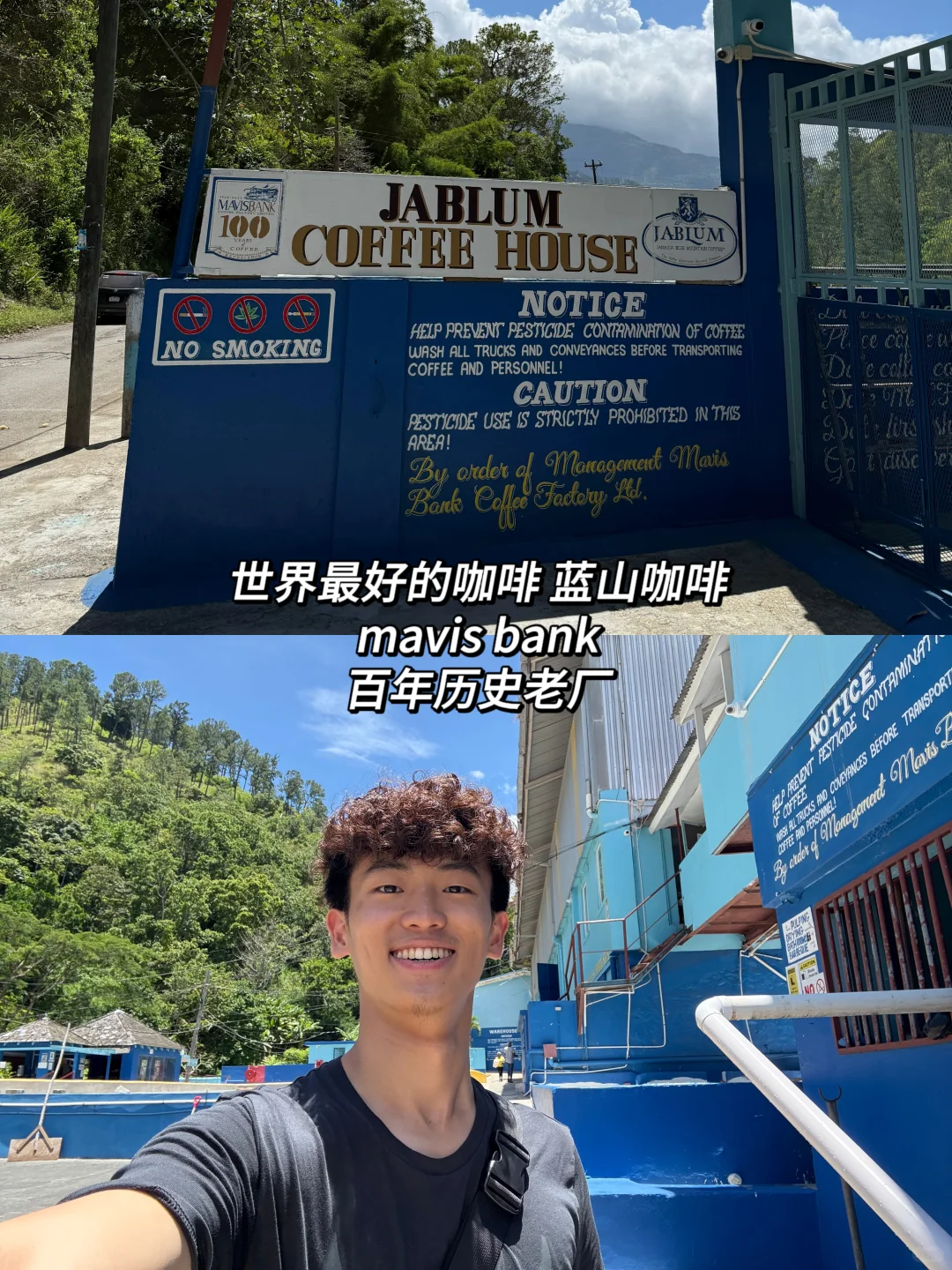 22岁 一个人背包旅行第60国 牙买加🇯🇲