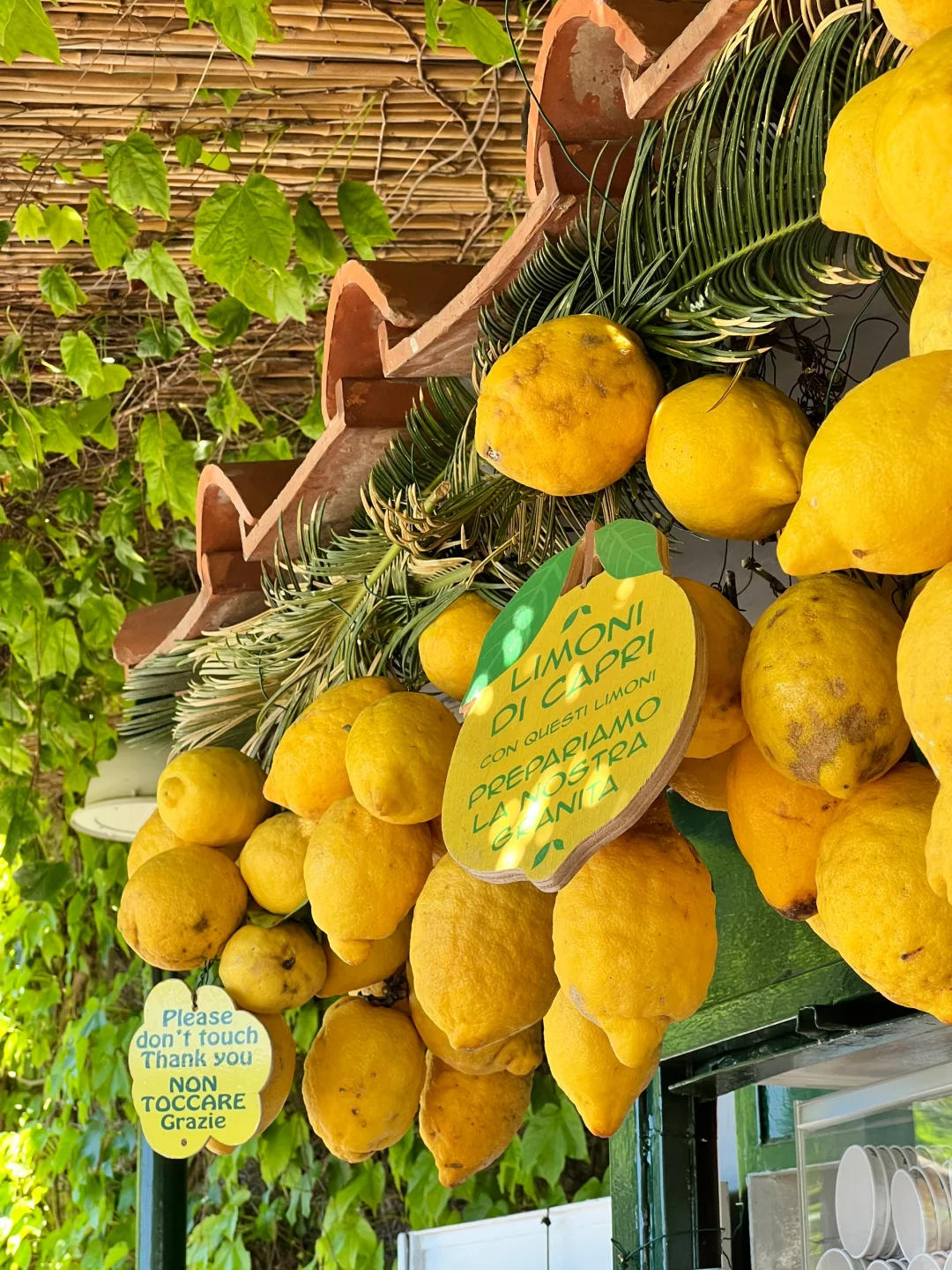 🇮🇹南意后遗症