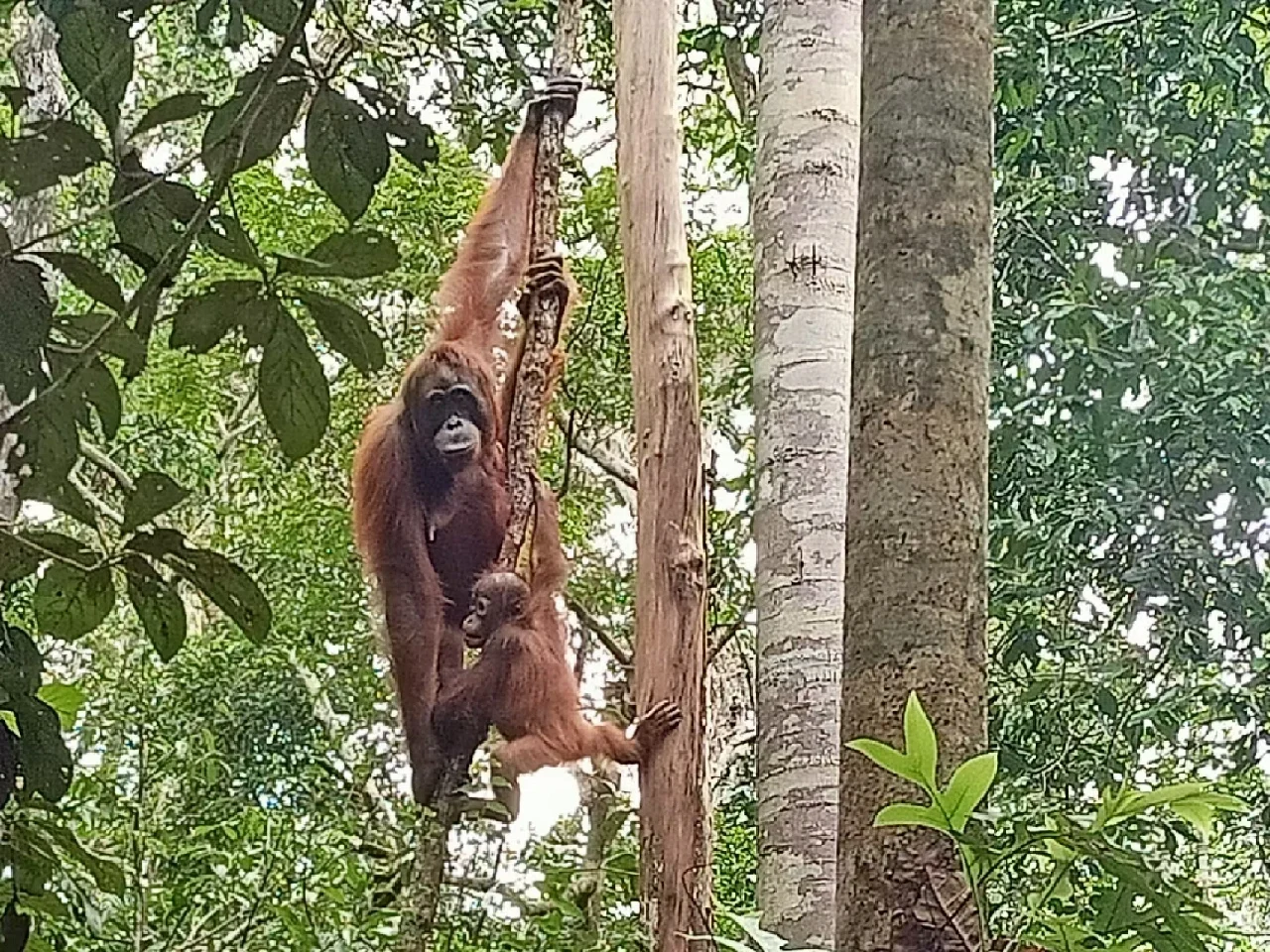 环游世界38国，最喜欢的国家（附带攻略）
