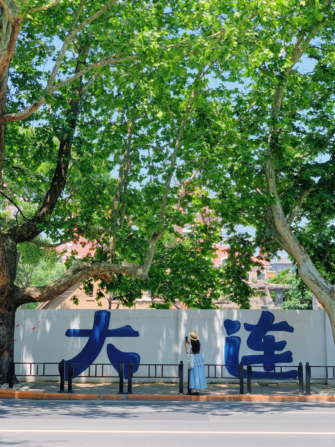 迄今为止……我最喜欢的海边城市出现了！！🌊