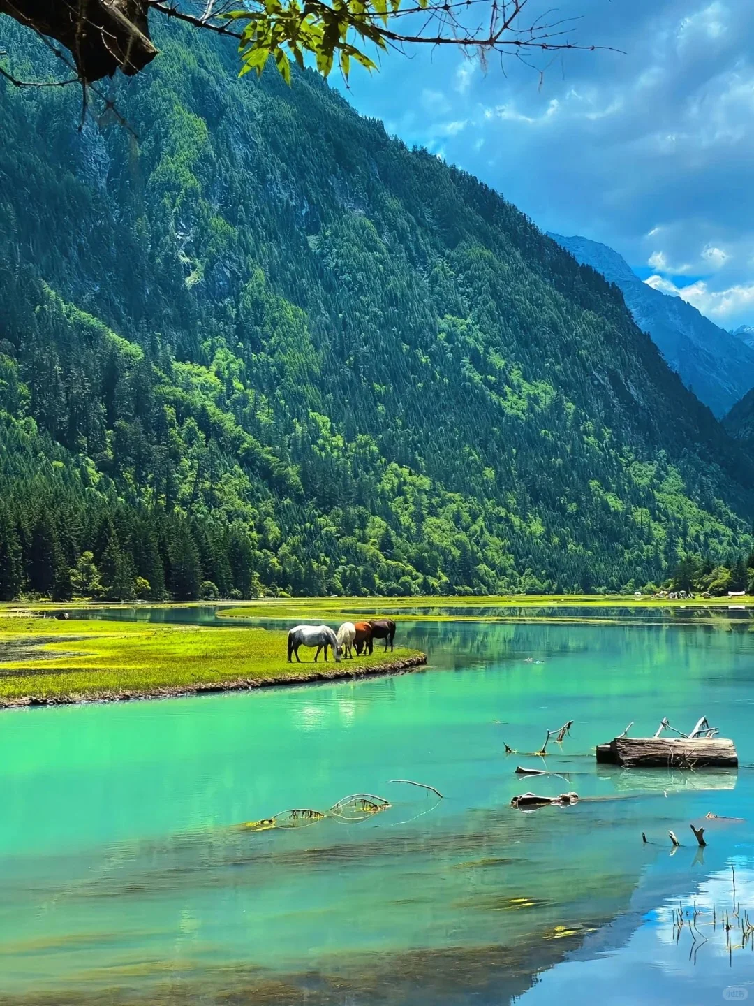 本以为甲根坝够美了！直到我去到了这里……