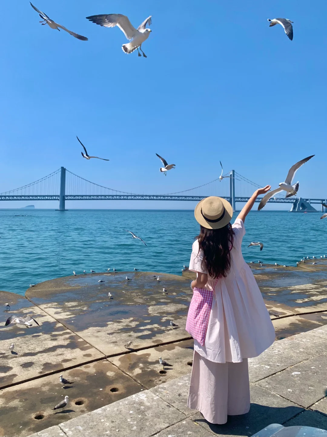 迄今为止……我最喜欢的海边城市出现了！！🌊