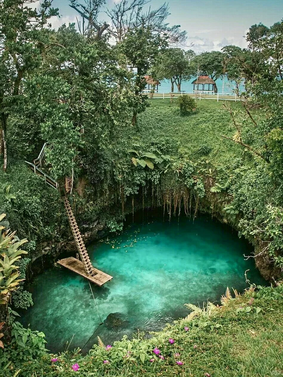 免签🇼🇸萨摩亚｜南太平洋“伊甸园”小众便宜