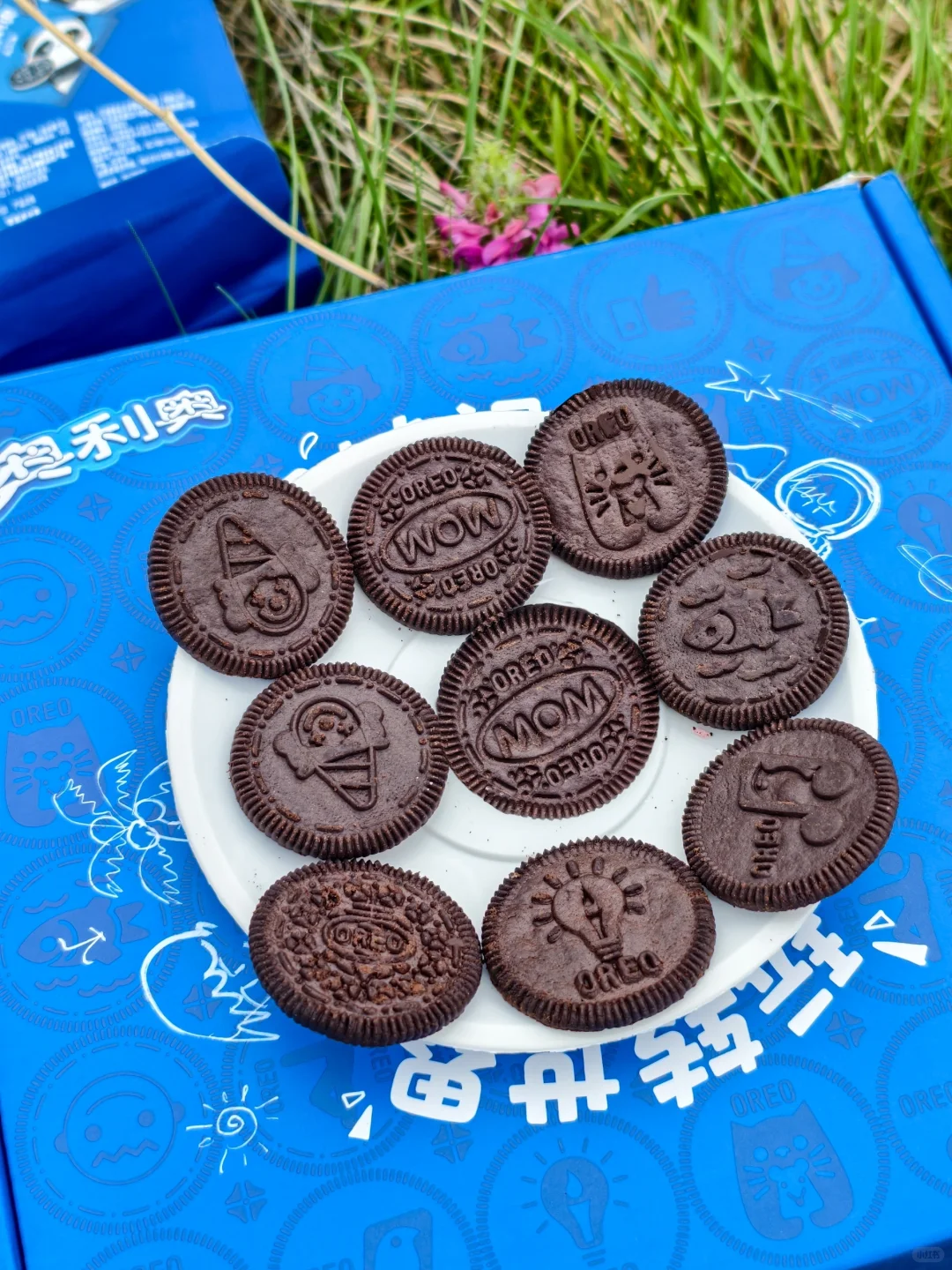 Live图！在呼伦贝尔出片像呼吸一样简单😭