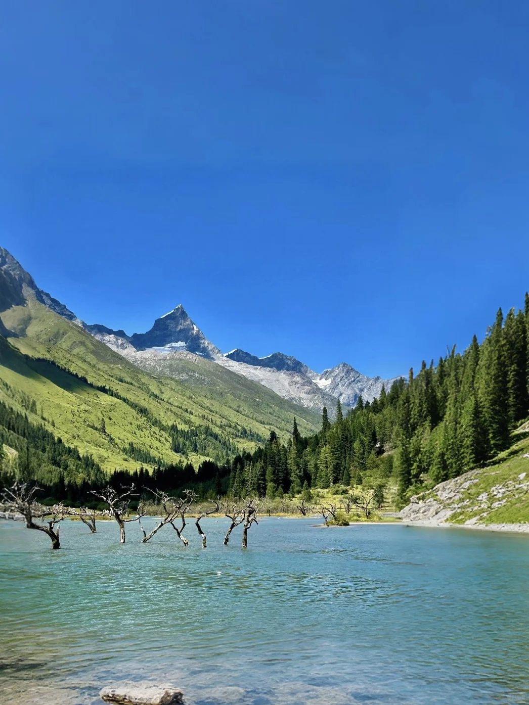 🌿6-8月必带娃来这避暑！💐比瑞士还震撼！！