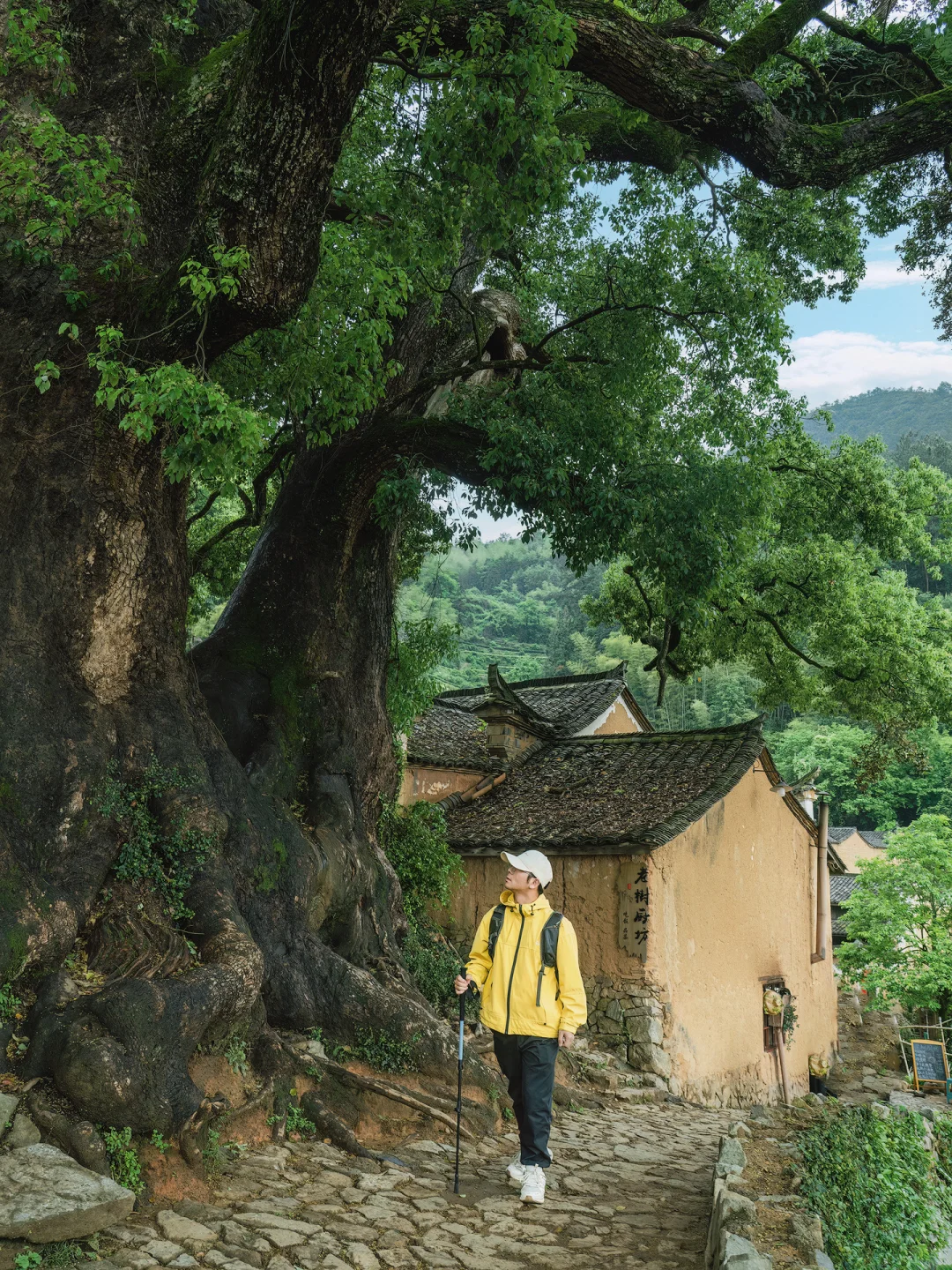 迄今为止，我最喜欢的9️⃣座治愈小城‼️
