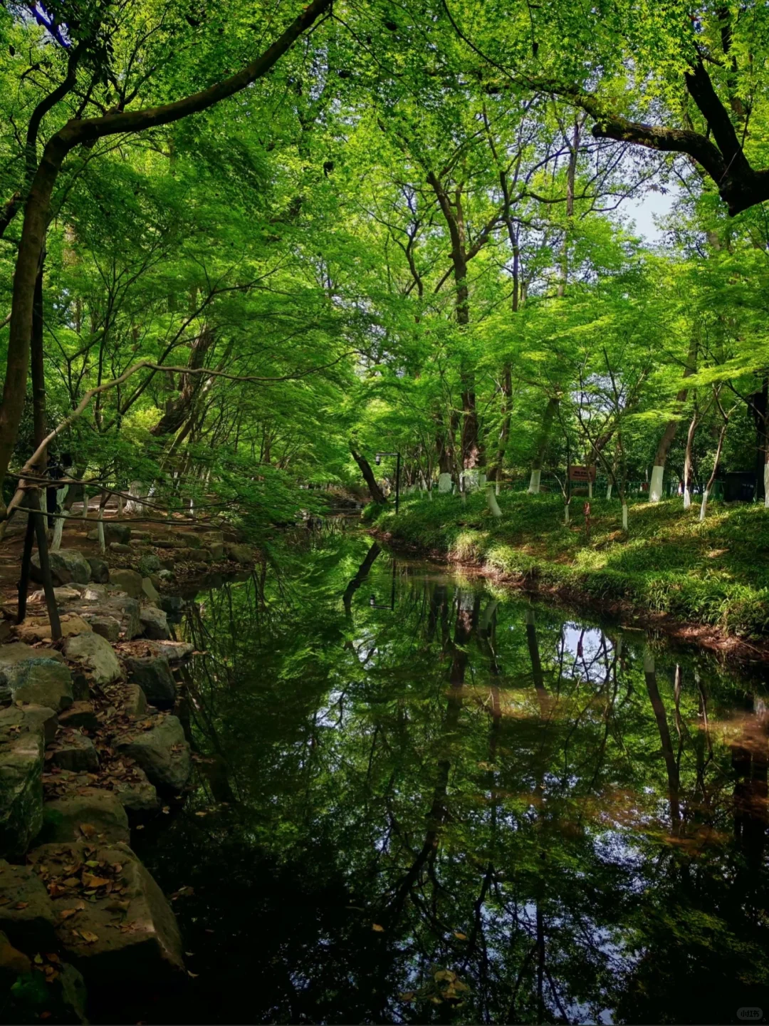每个来杭州的朋友都会被我带来这里......