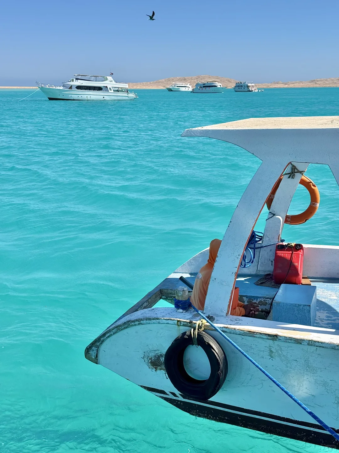 一半红海一半撒哈拉🏜️live感受顶级海张力