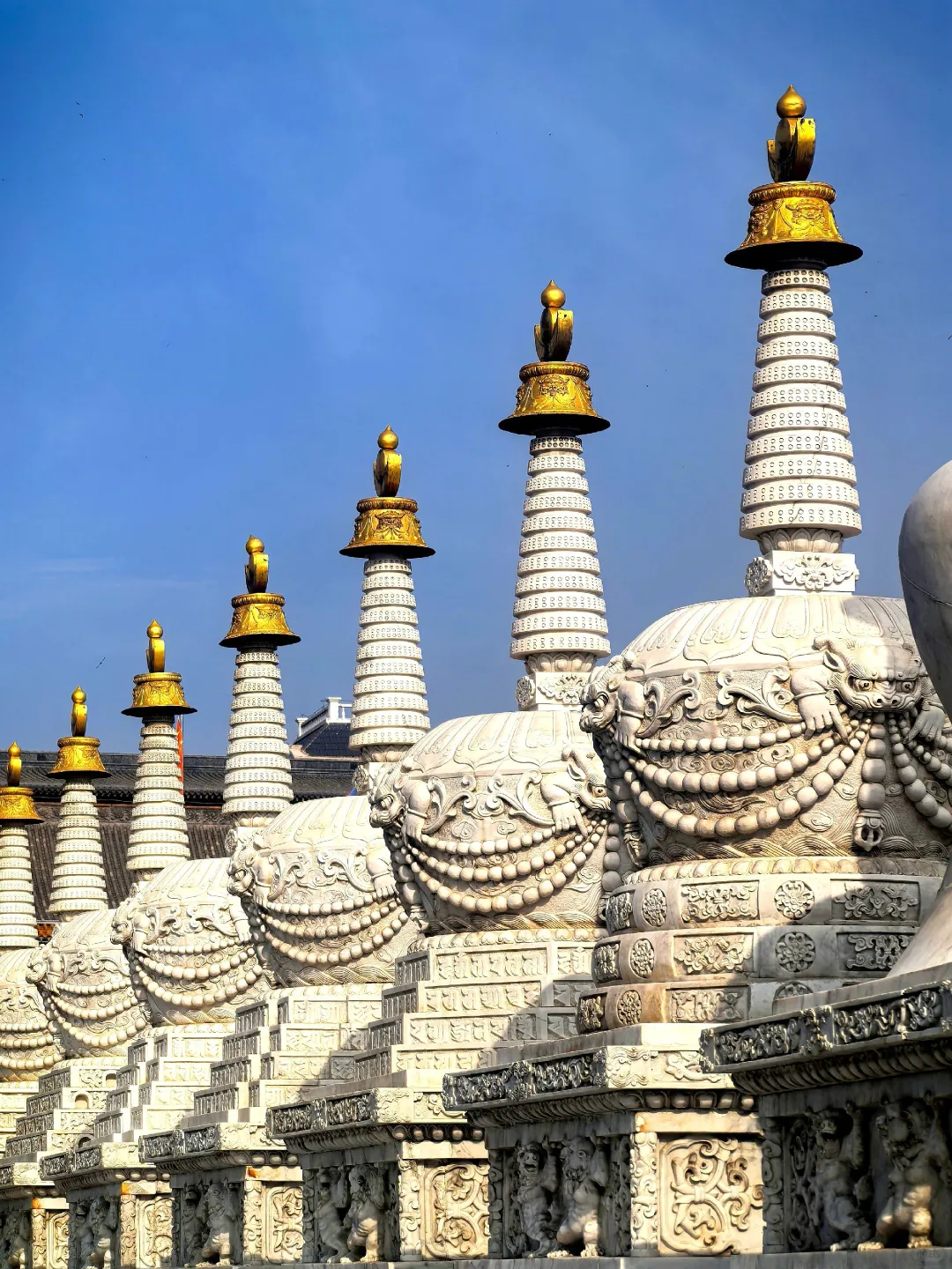 酷夏高温来袭，草原避暑真香警告📍