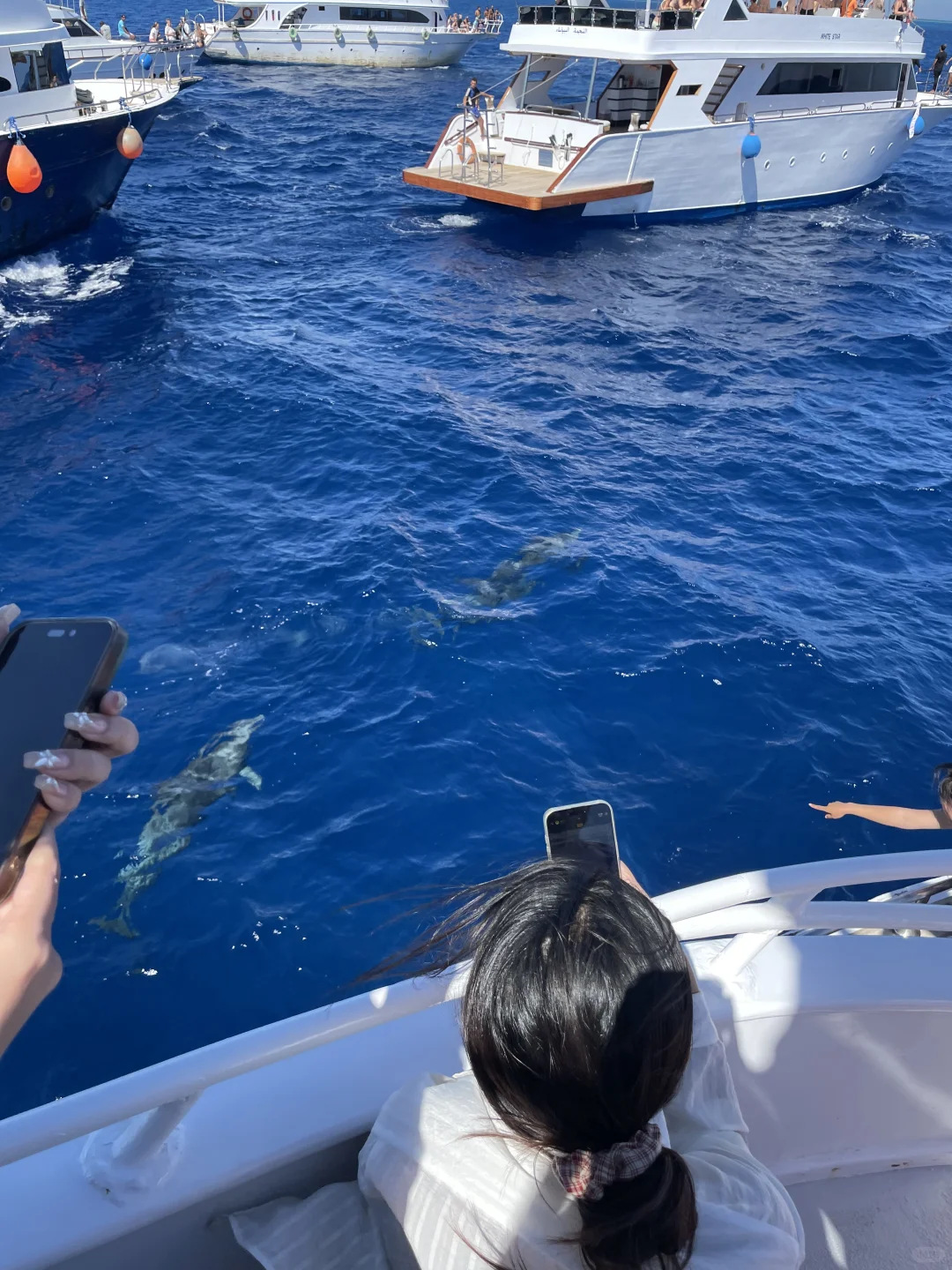 埃及的可玩性真的top级别的存在