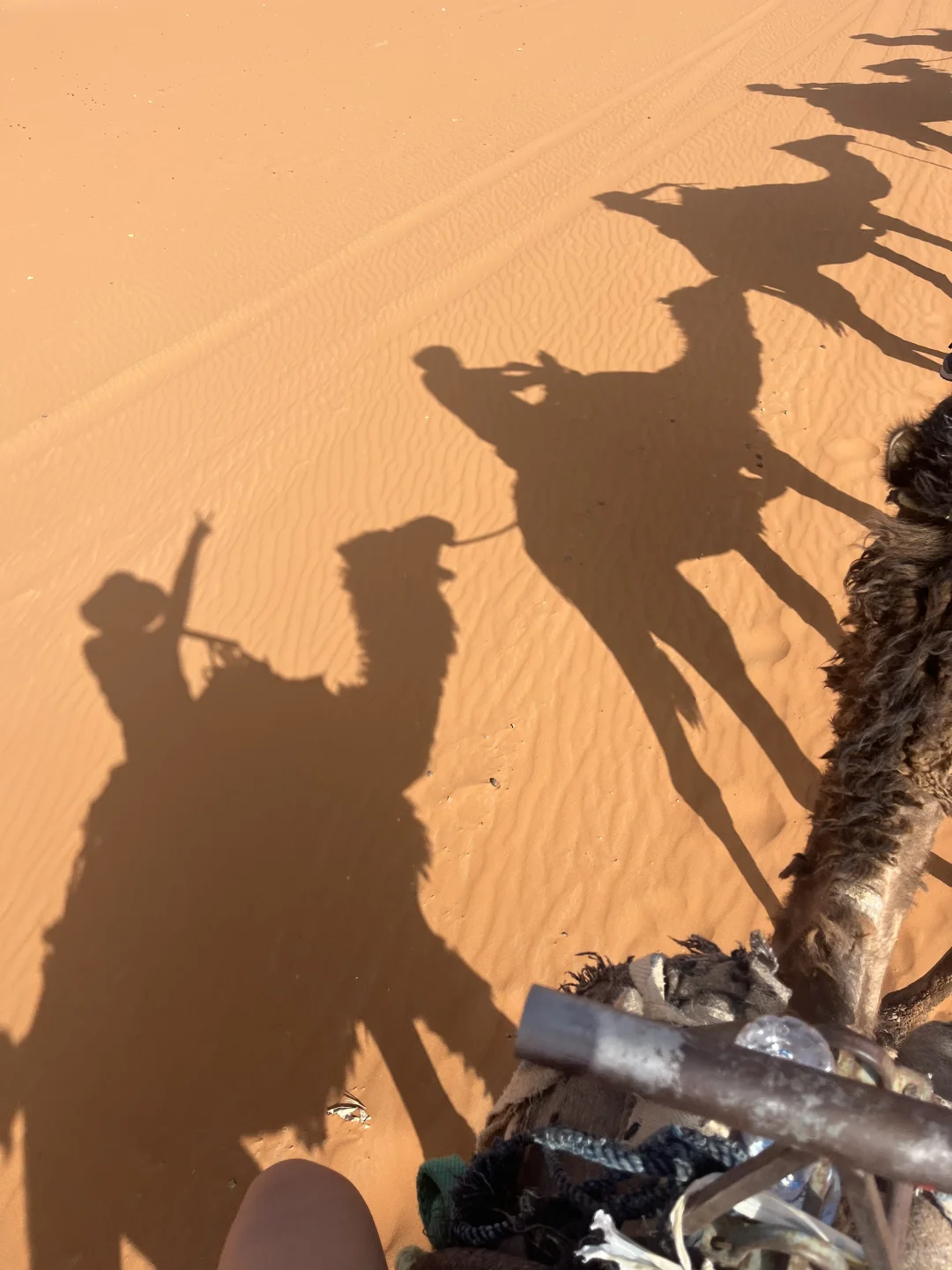 🇲🇦摩洛哥女生solo trip的一点经验