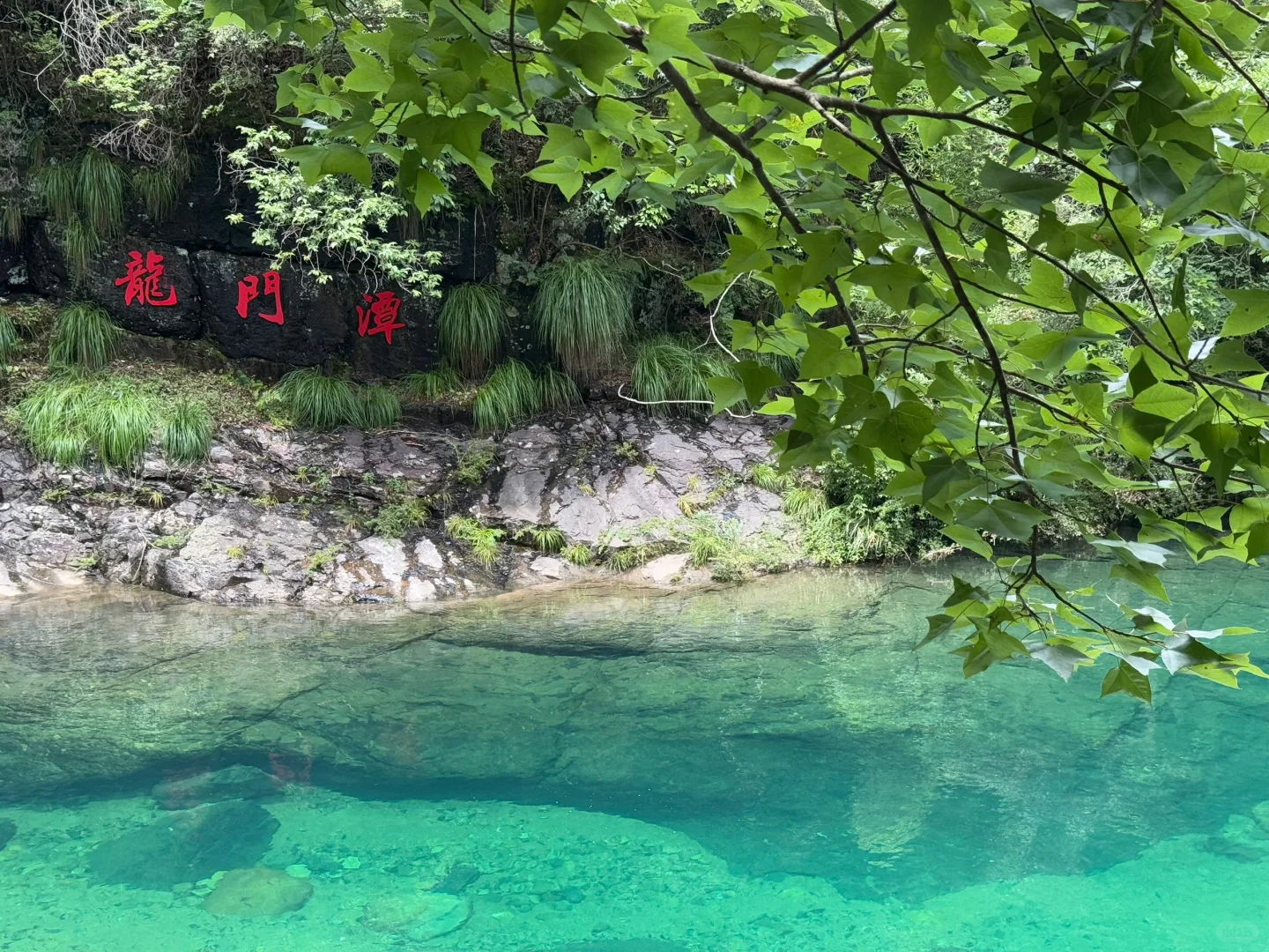 皖南绿野仙踪🌿｜带娃冲进25°C的翡翠溪谷