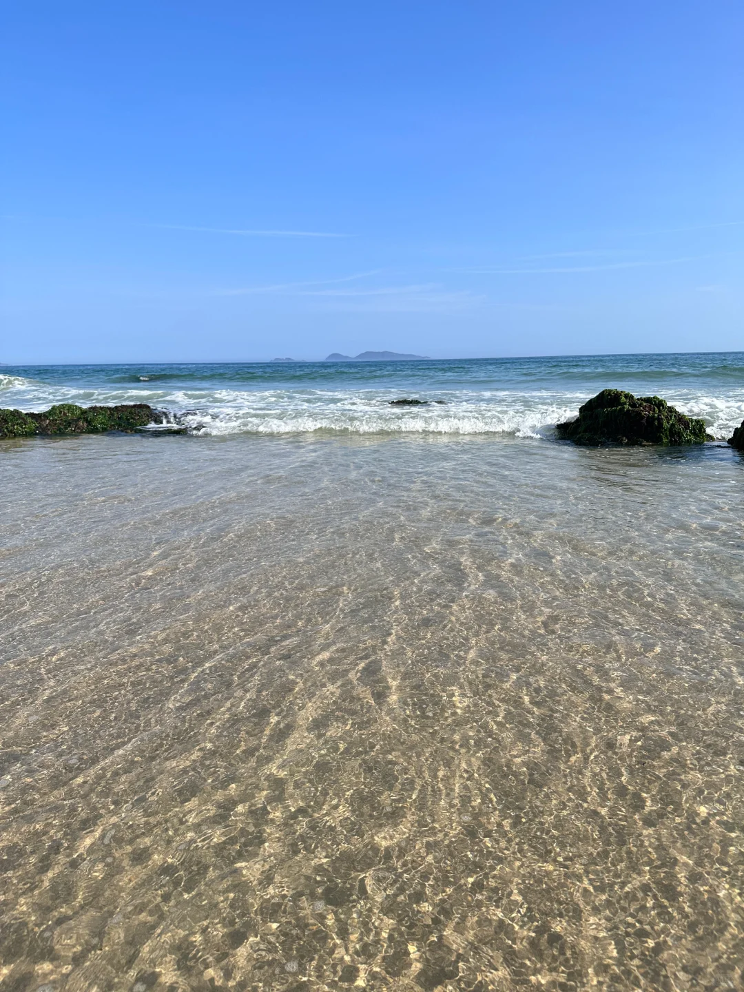 免费赶海‼️开车直达🚘小朋友轻松爆桶🦀️