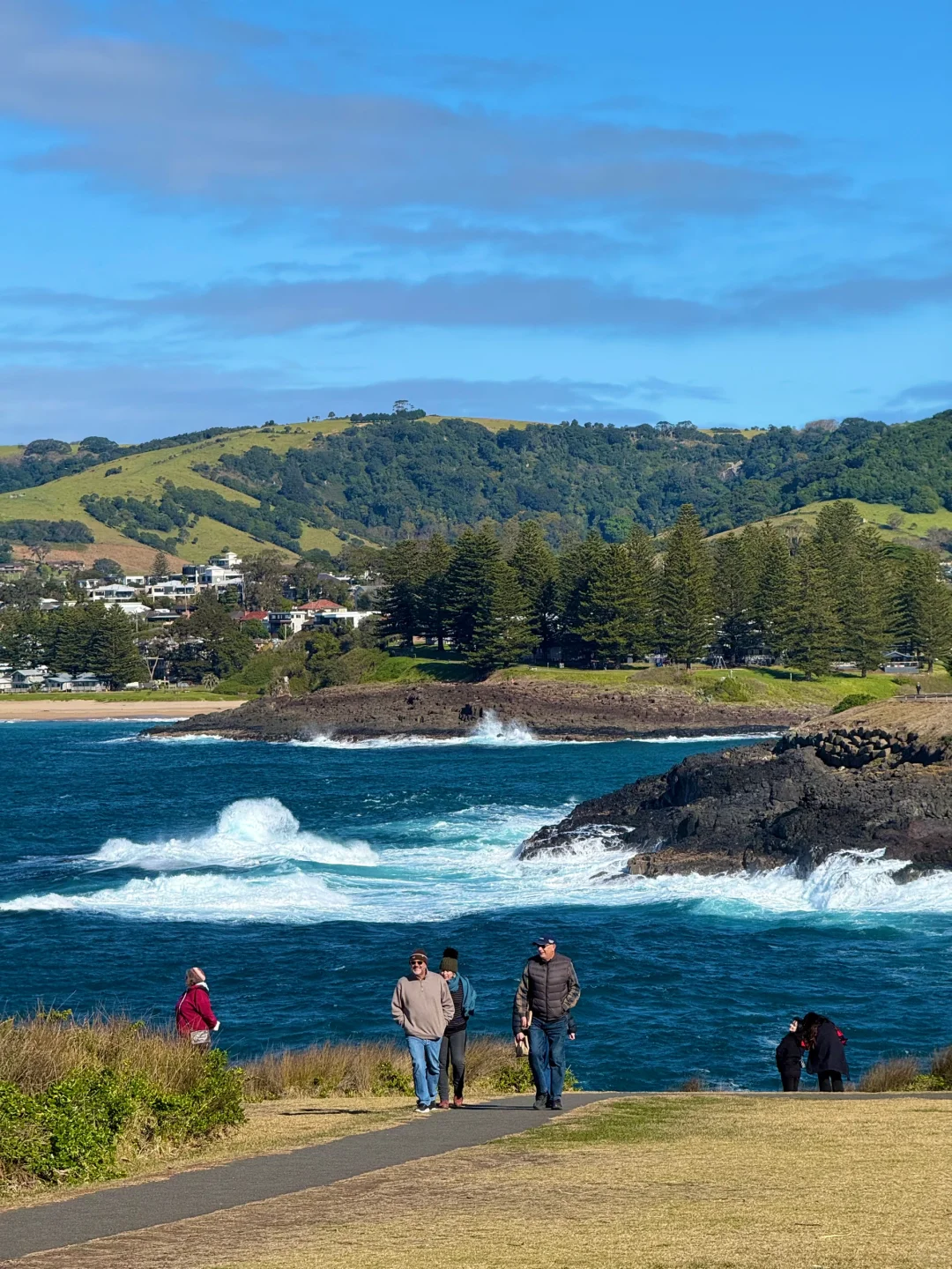 悉尼周边美的我发癫🥹
