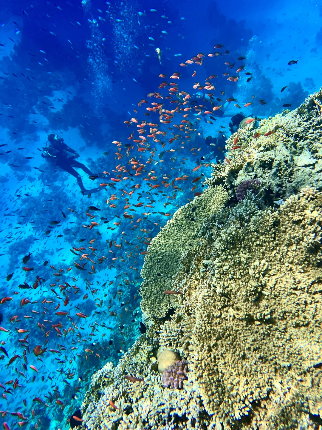 埃及的可玩性真的top级别的存在