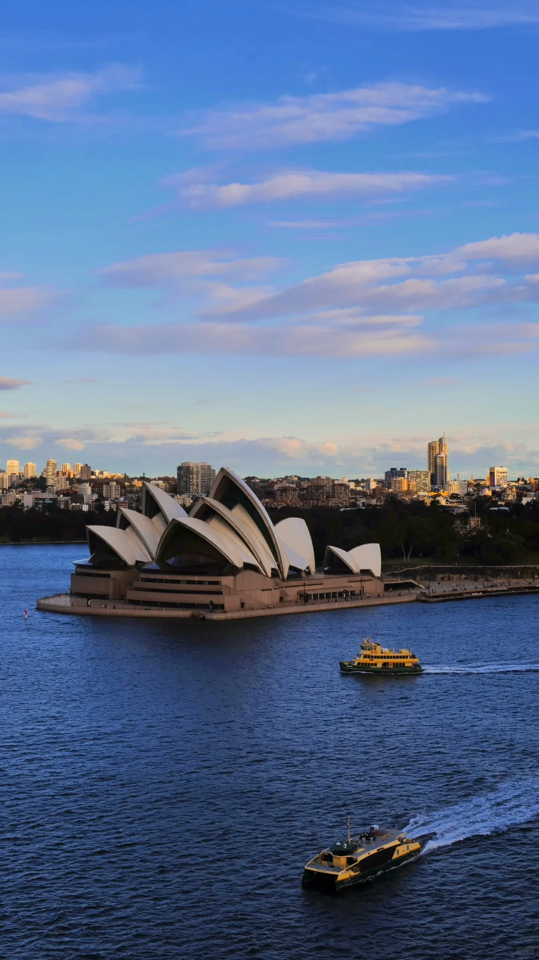 📍拍出了我心中最美的悉尼 2024