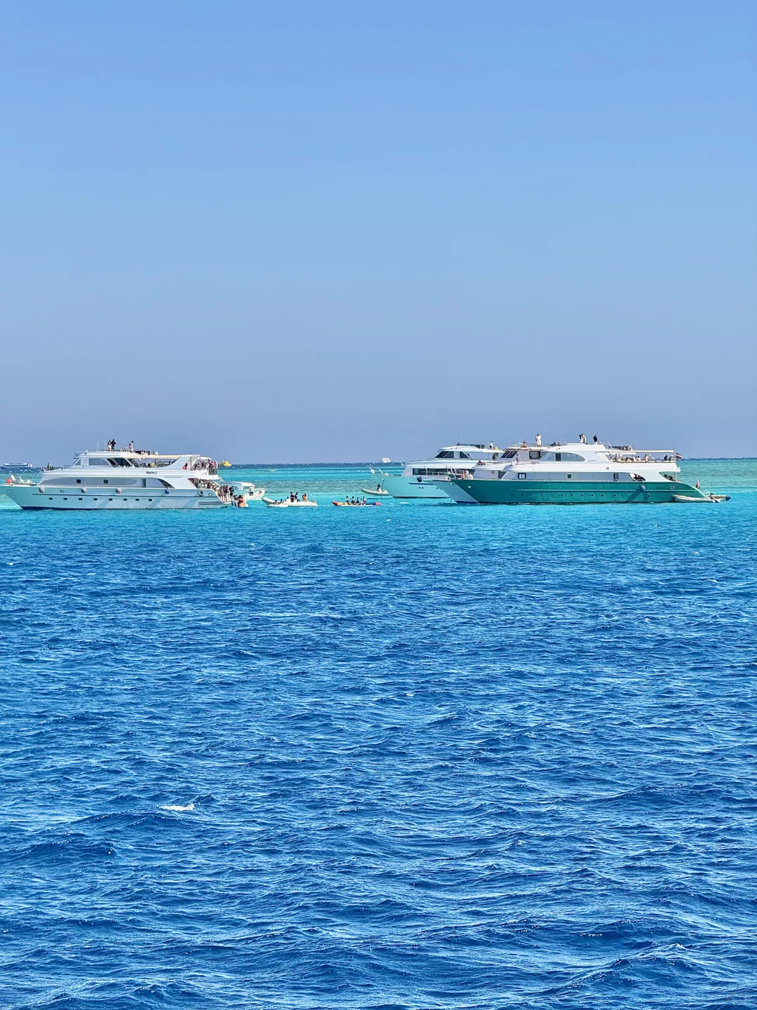 一半红海一半撒哈拉🏜️live感受顶级海张力