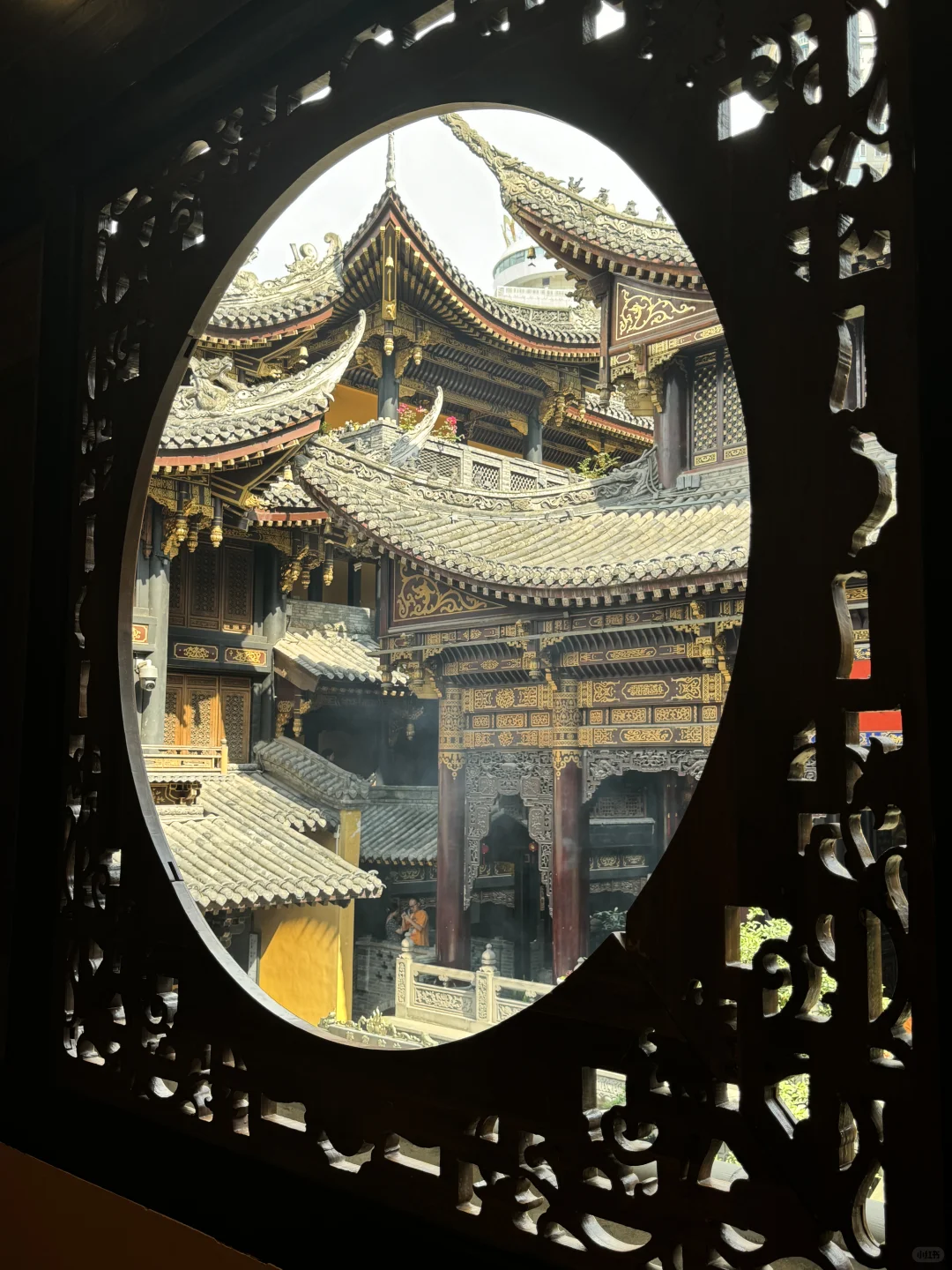 每天暴走三万步，重庆真的太好玩了！！！