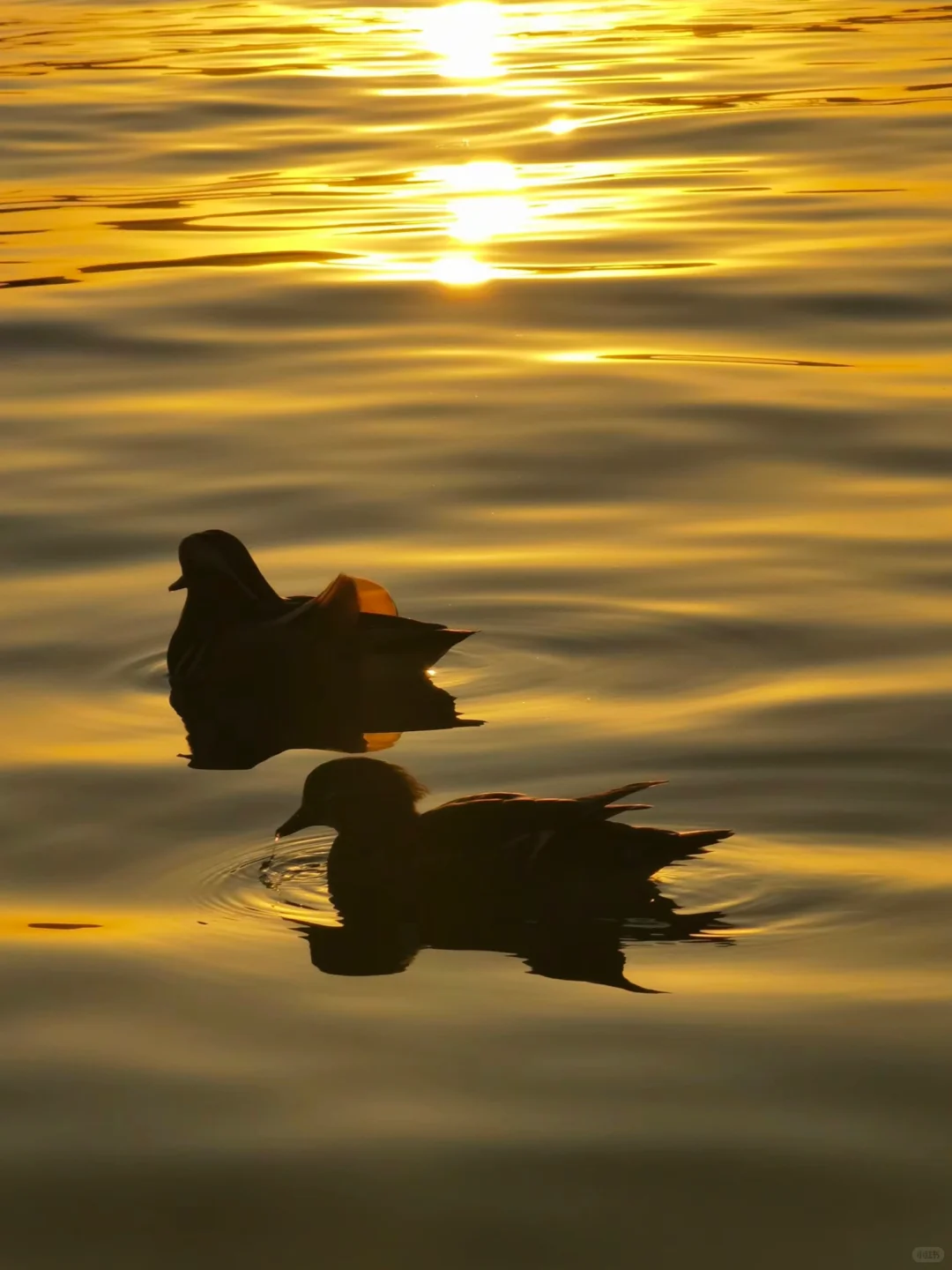 每个来杭州的朋友都会被我带来这里......
