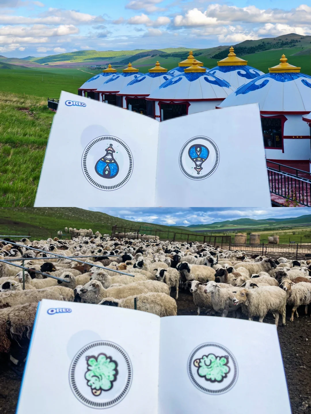 Live图！在呼伦贝尔出片像呼吸一样简单😭