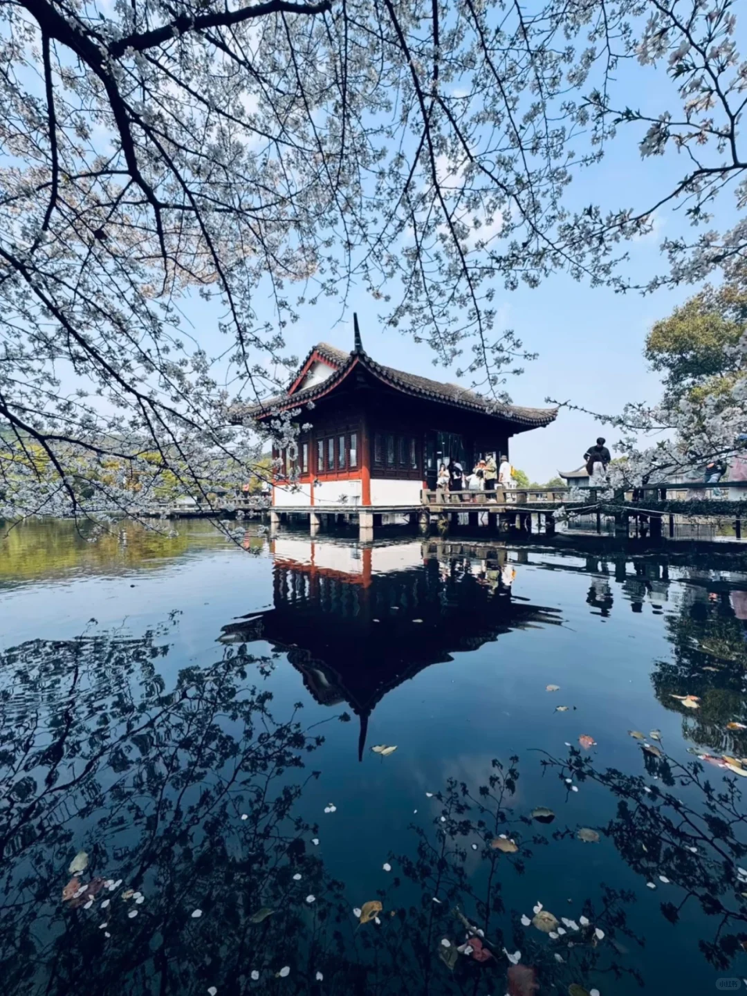 每个来杭州的朋友都会被我带来这里......